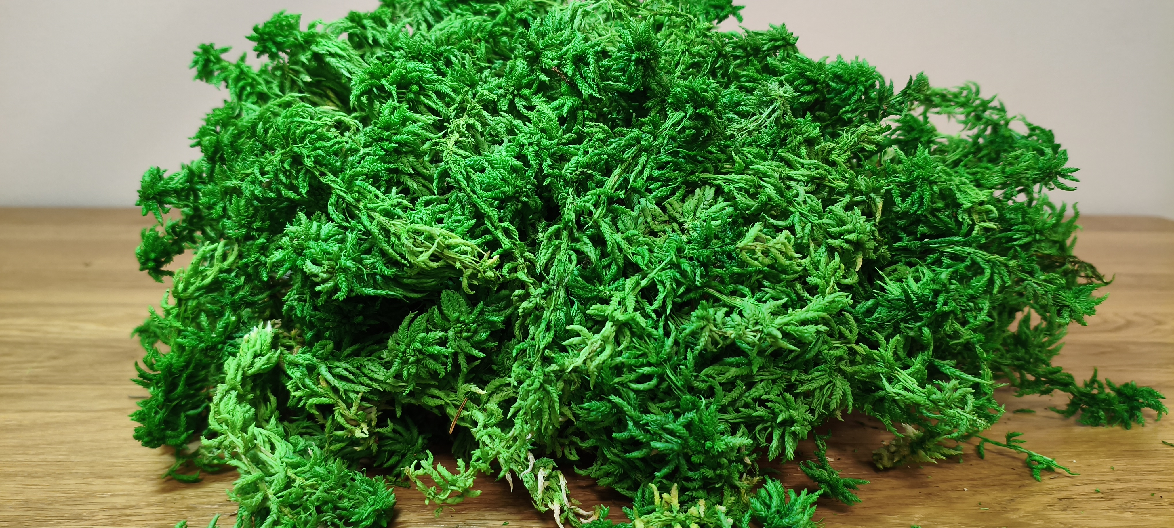 Stabilizuotos kimininės samanos (Sphagnum) 