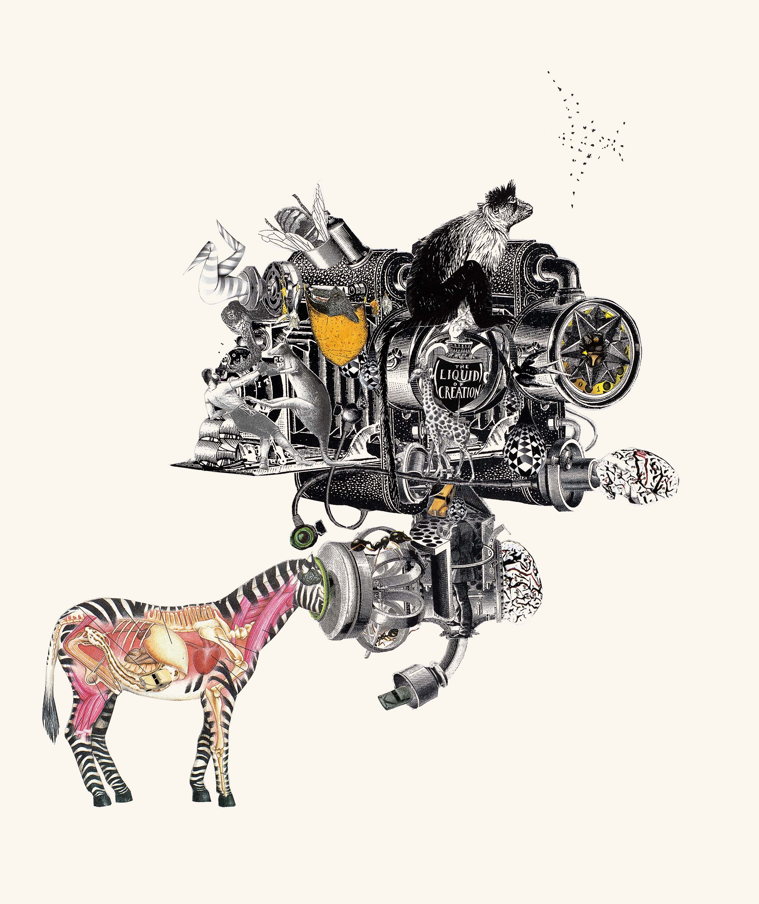 Series : Engines + Beasts