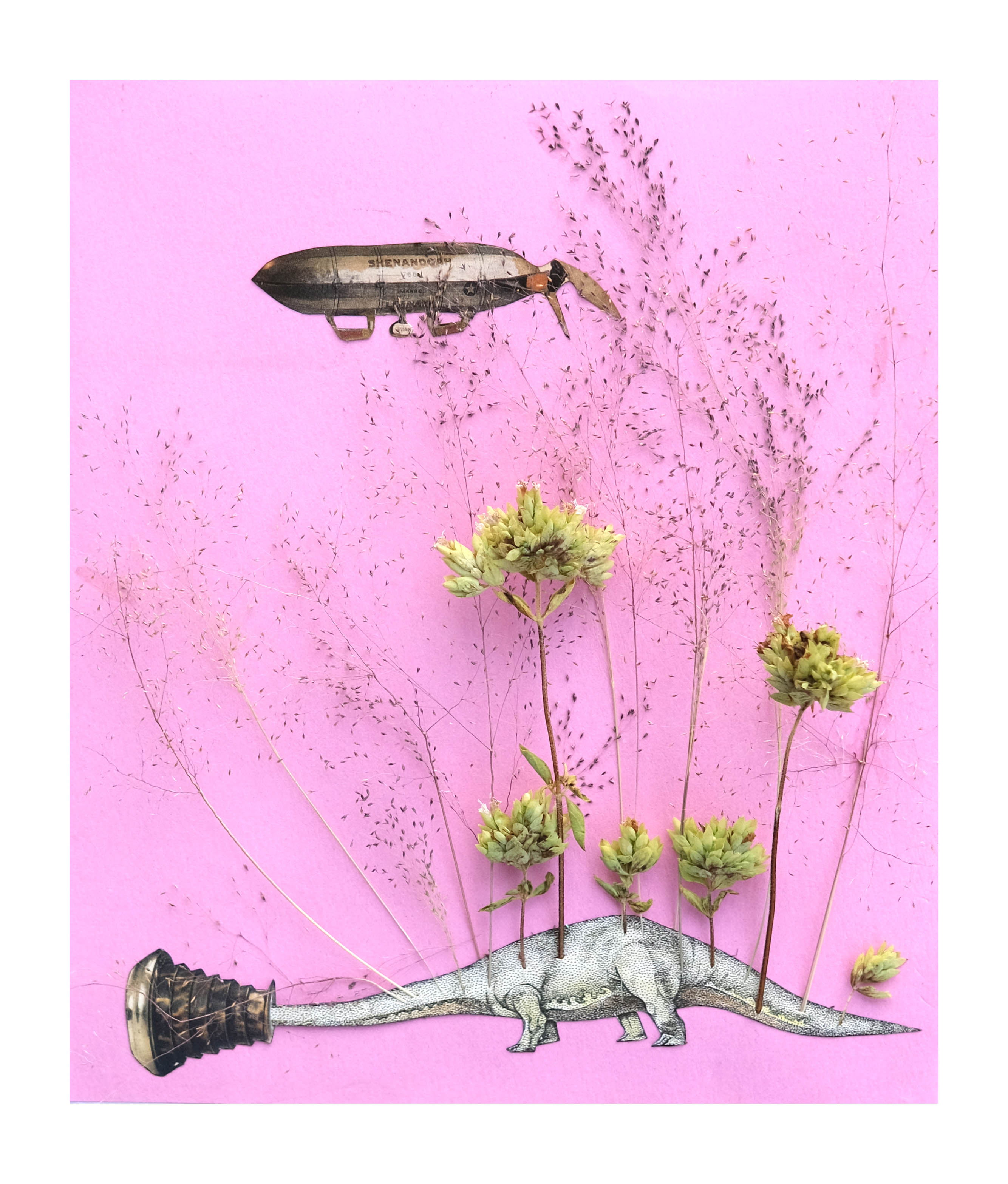 There is always Thyme