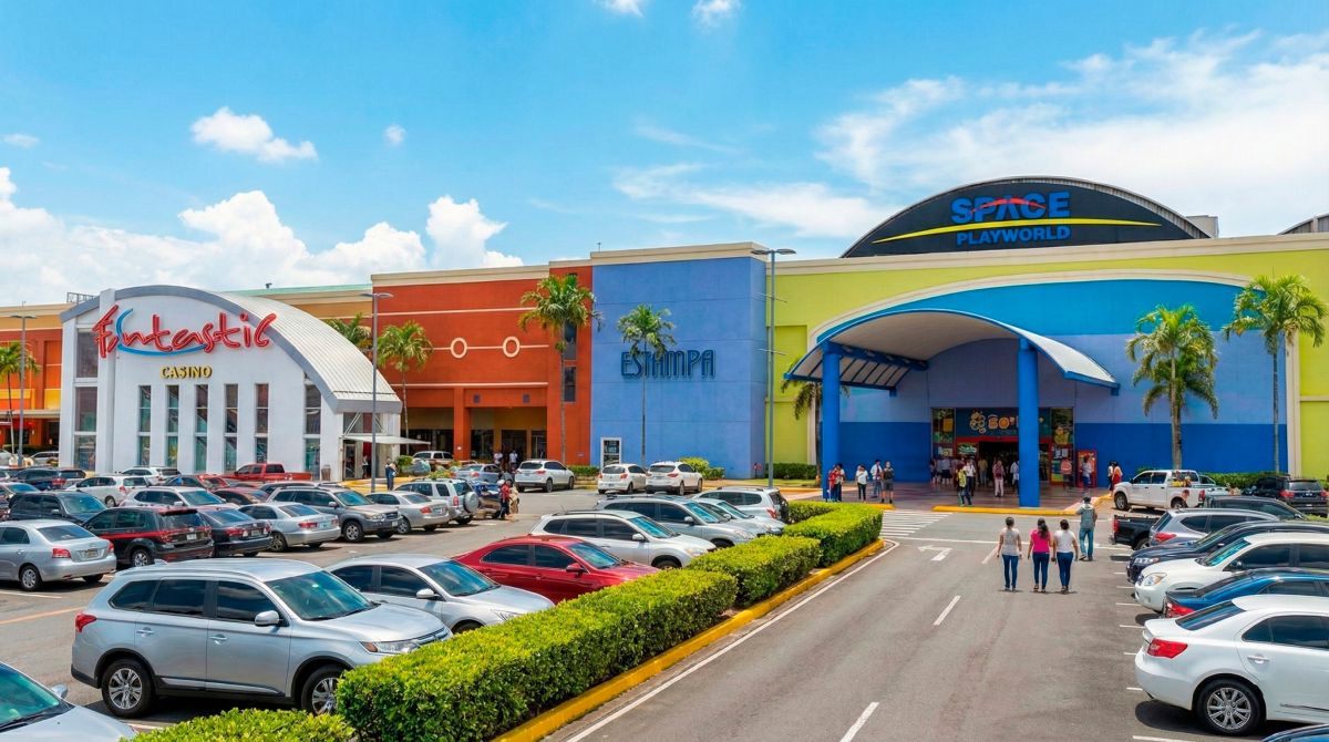 Private Tour + Shoping and Culinary Experience (8 Hours)