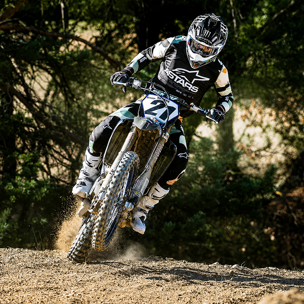 Buzo Alpinestars #2
