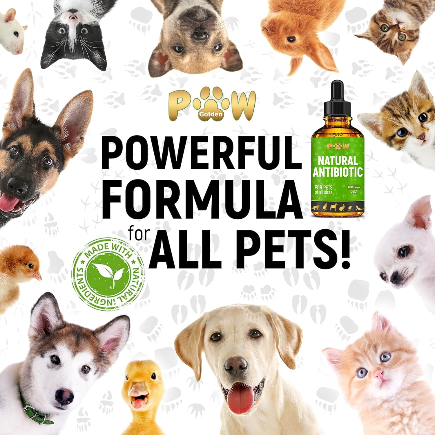 Natural Antibiotic for your pets