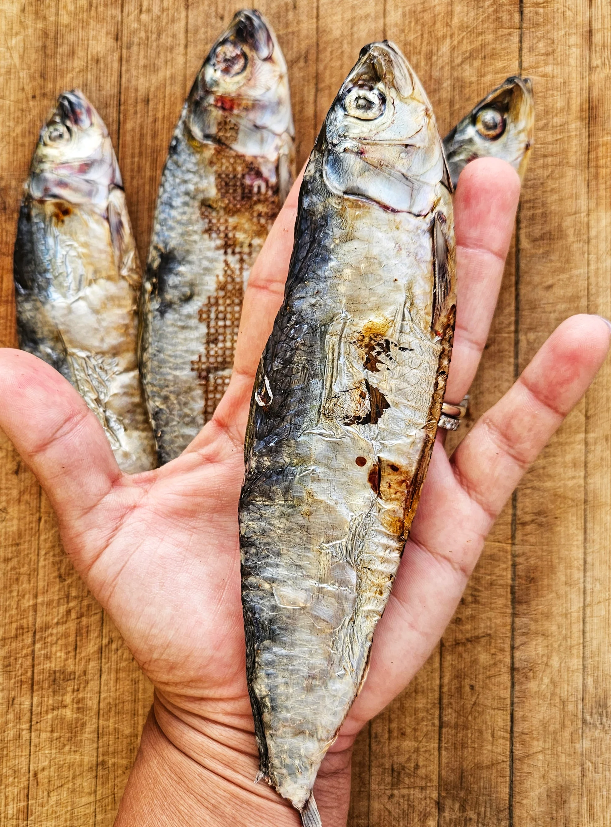 Sardines - Dehydrated (Pack of 6)