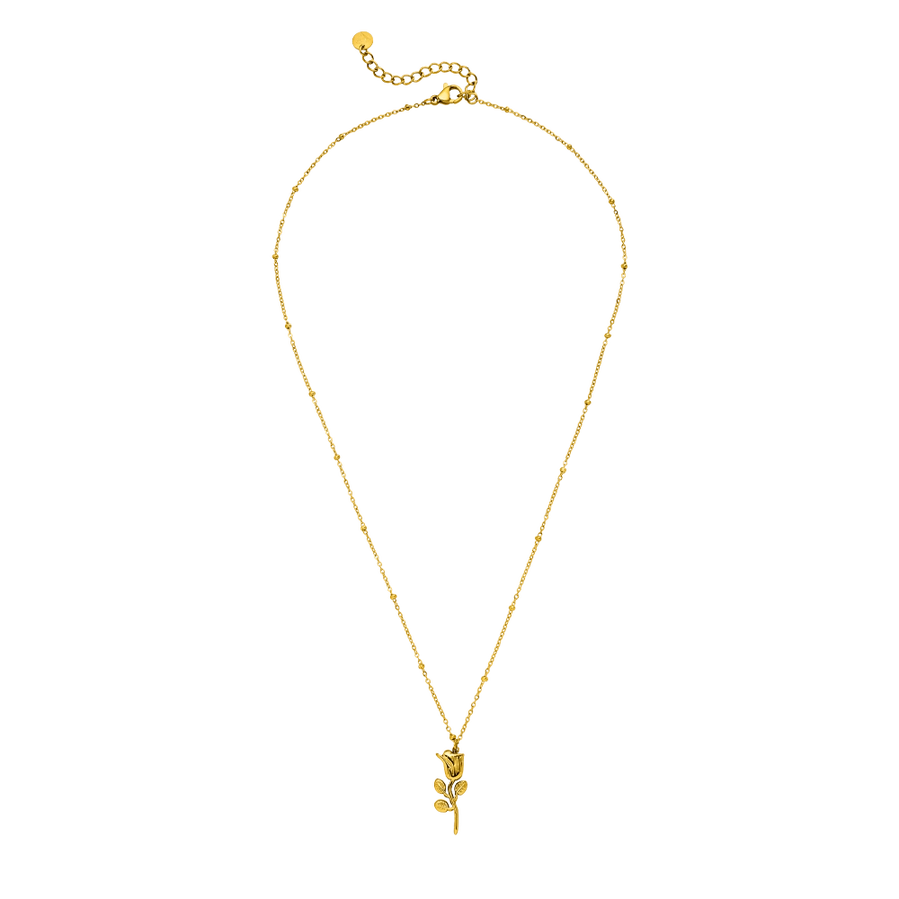 Paauksuota grandinėlė su rožės pakabuku