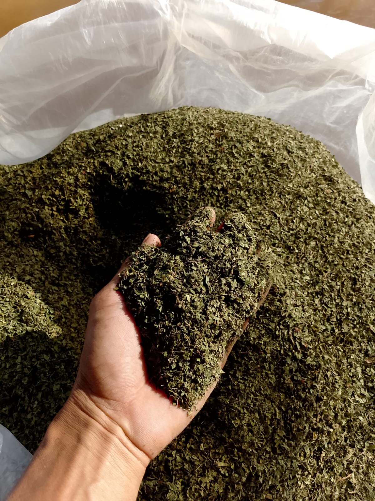 Kratom Premium Azabotanical