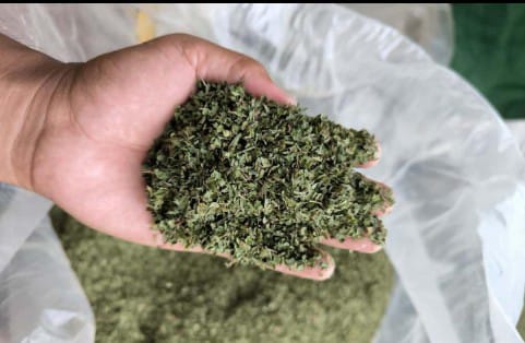 Kratom Premium Azabotanical