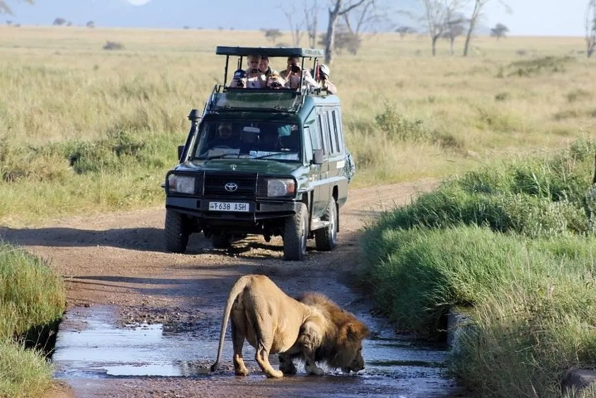 Safari Tour Vehicle- All Inclusive