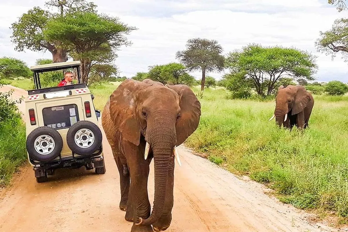 Safari Tour Vehicle- All Inclusive