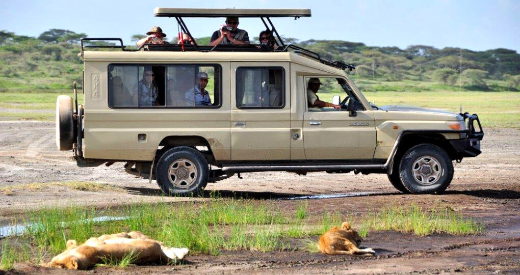 Safari Tour Vehicle- Self Drive