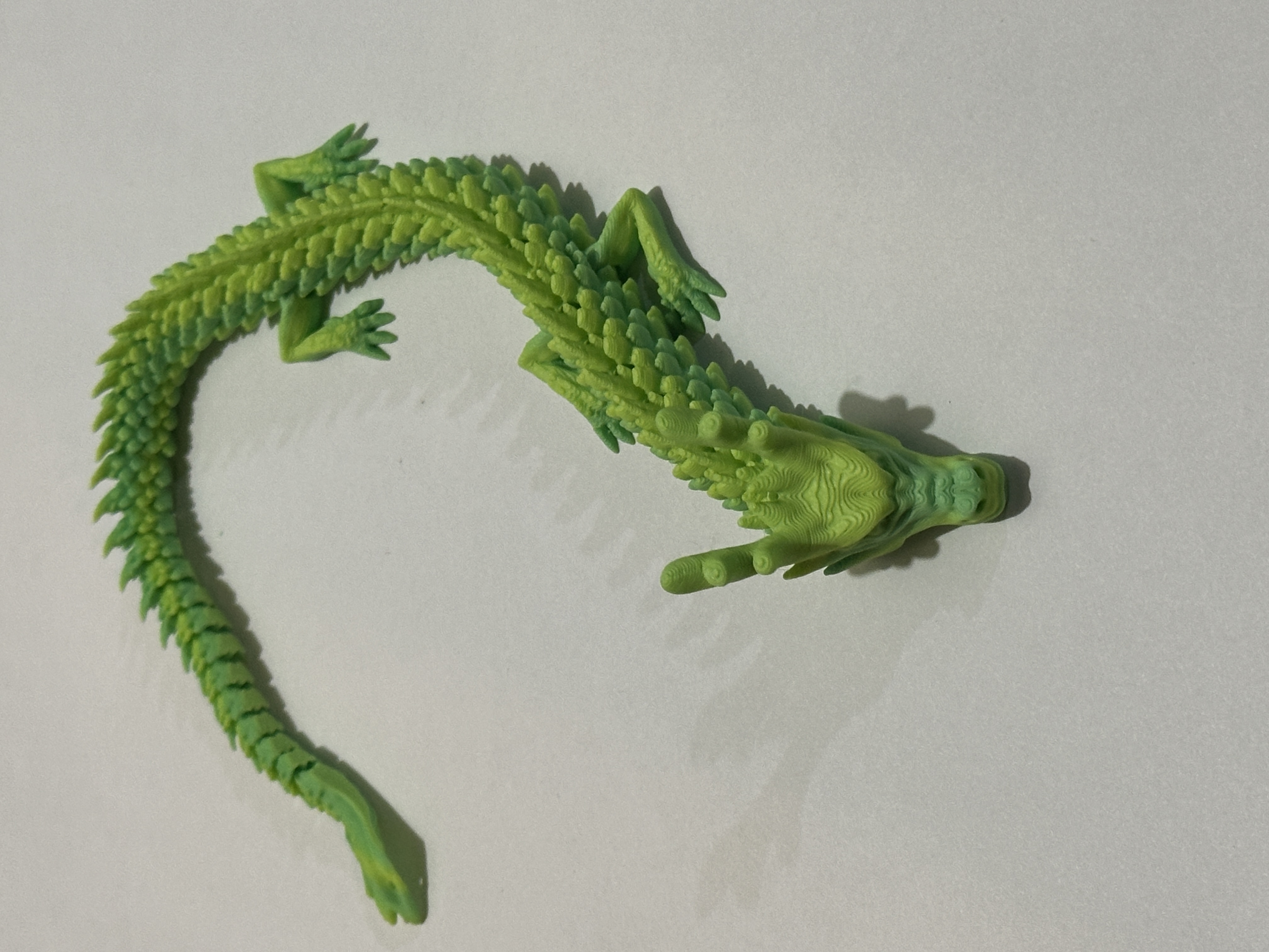 3D Articulated Dragon