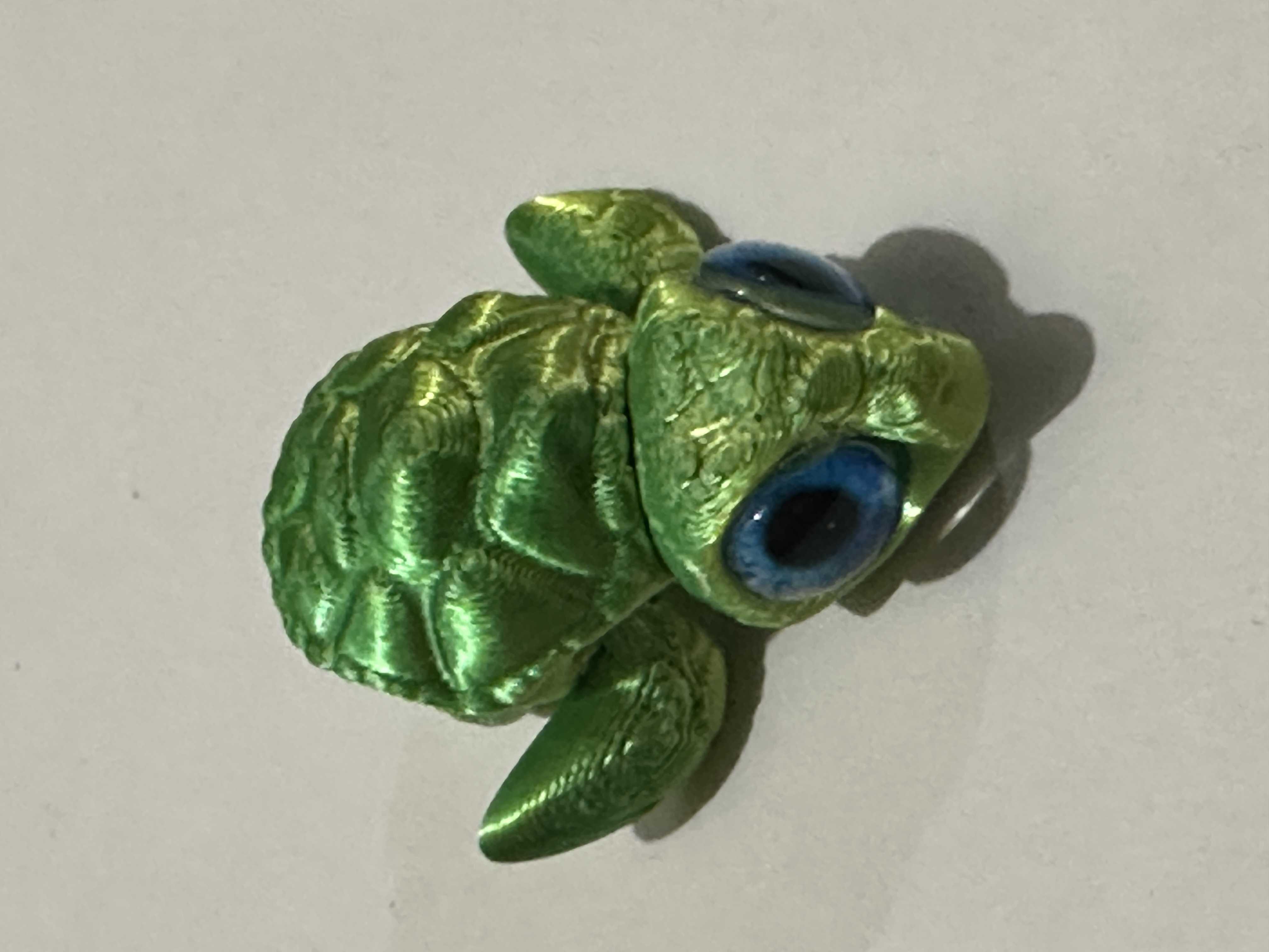 3D Printed Turtle