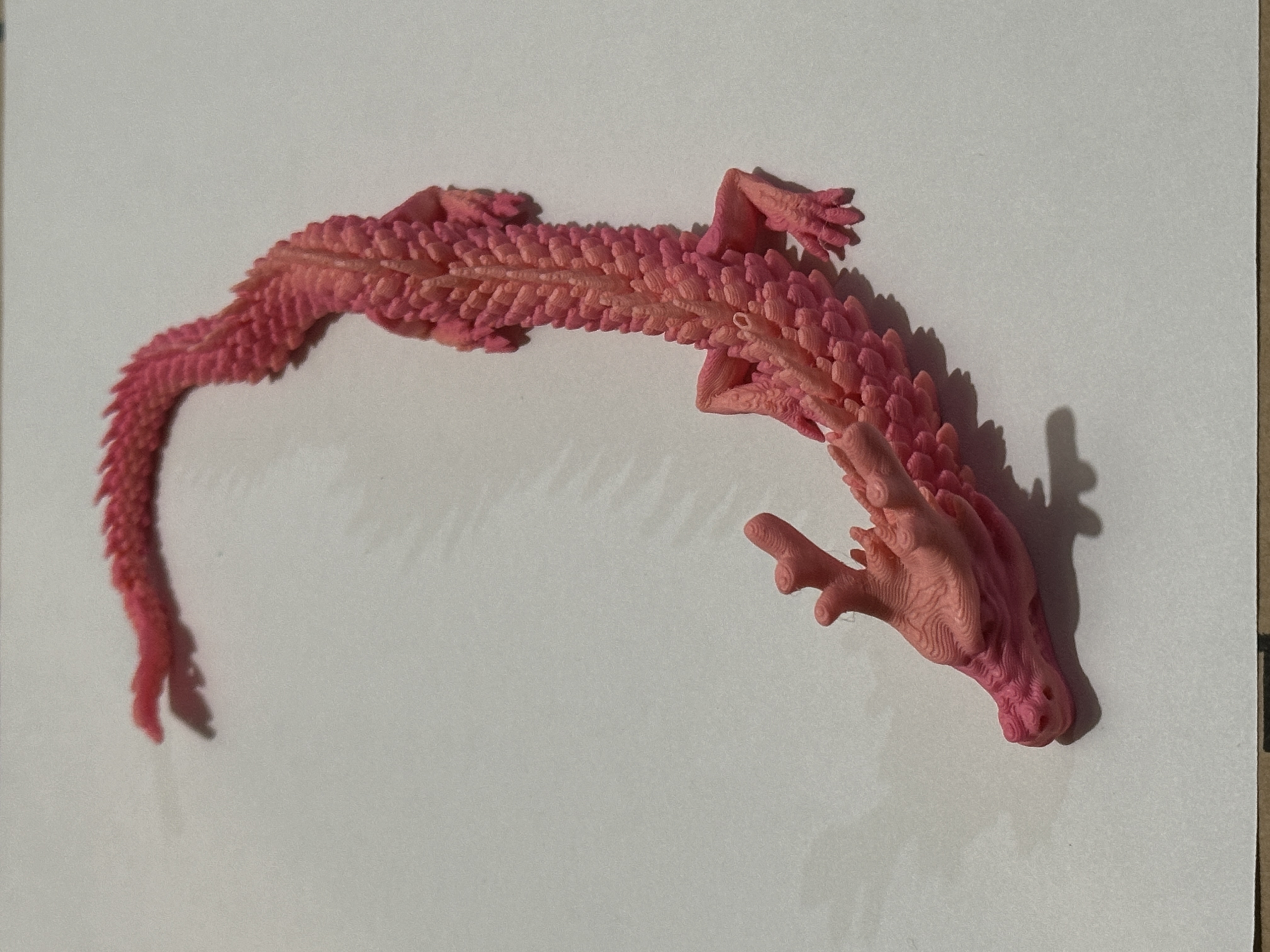 3D Articulated Dragon