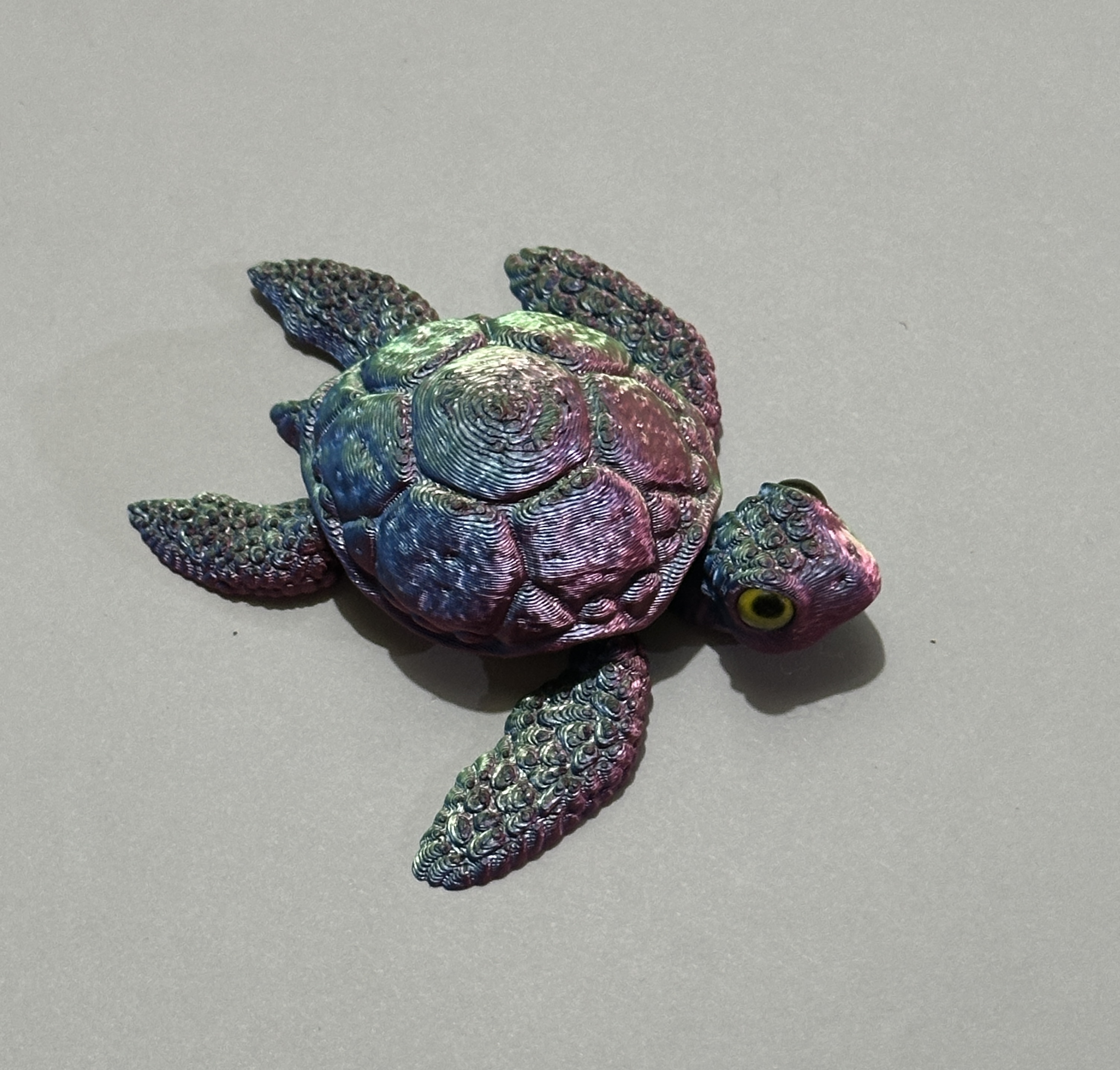 3D Printed Turtle