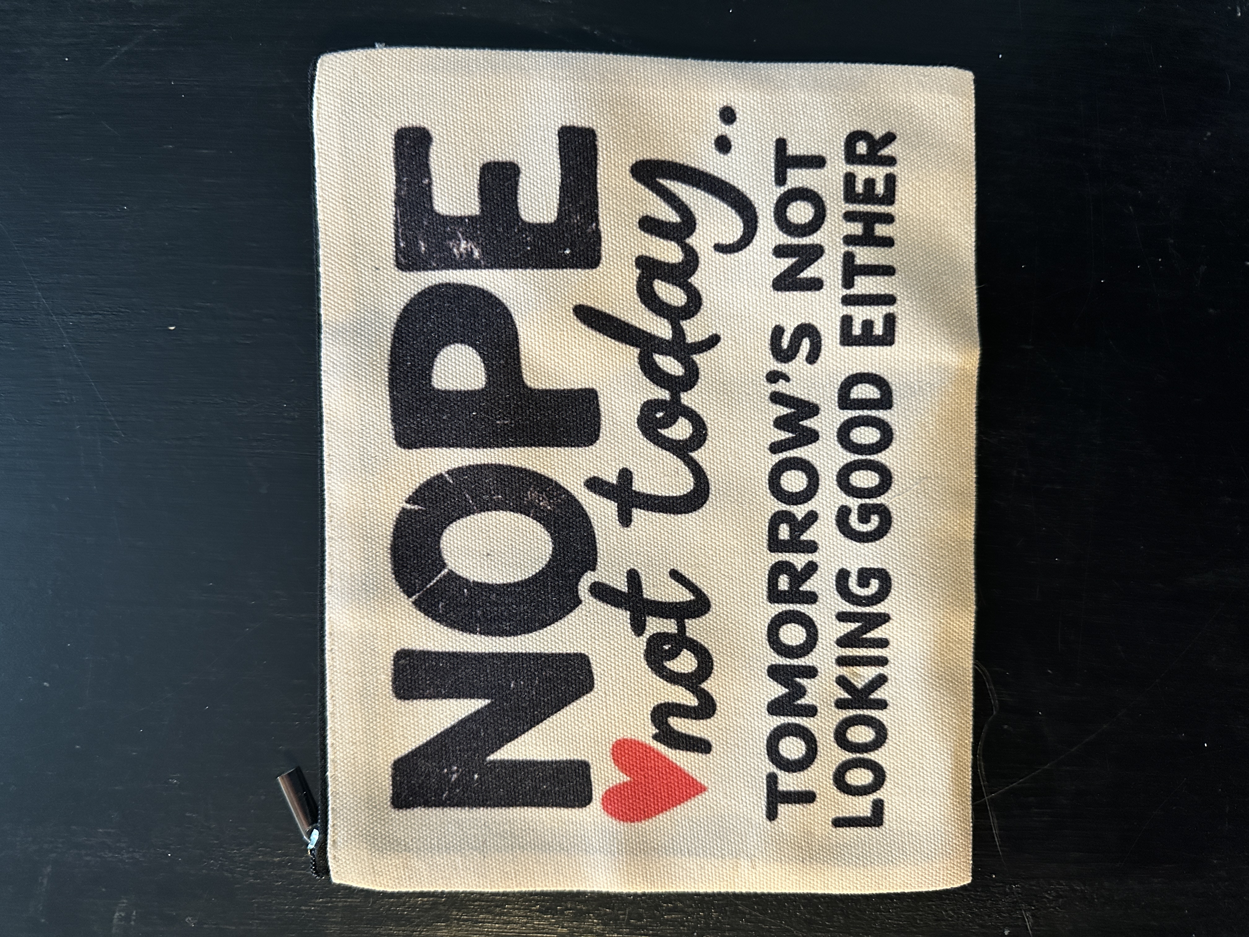 Nope Not Today Cosmetic Bag