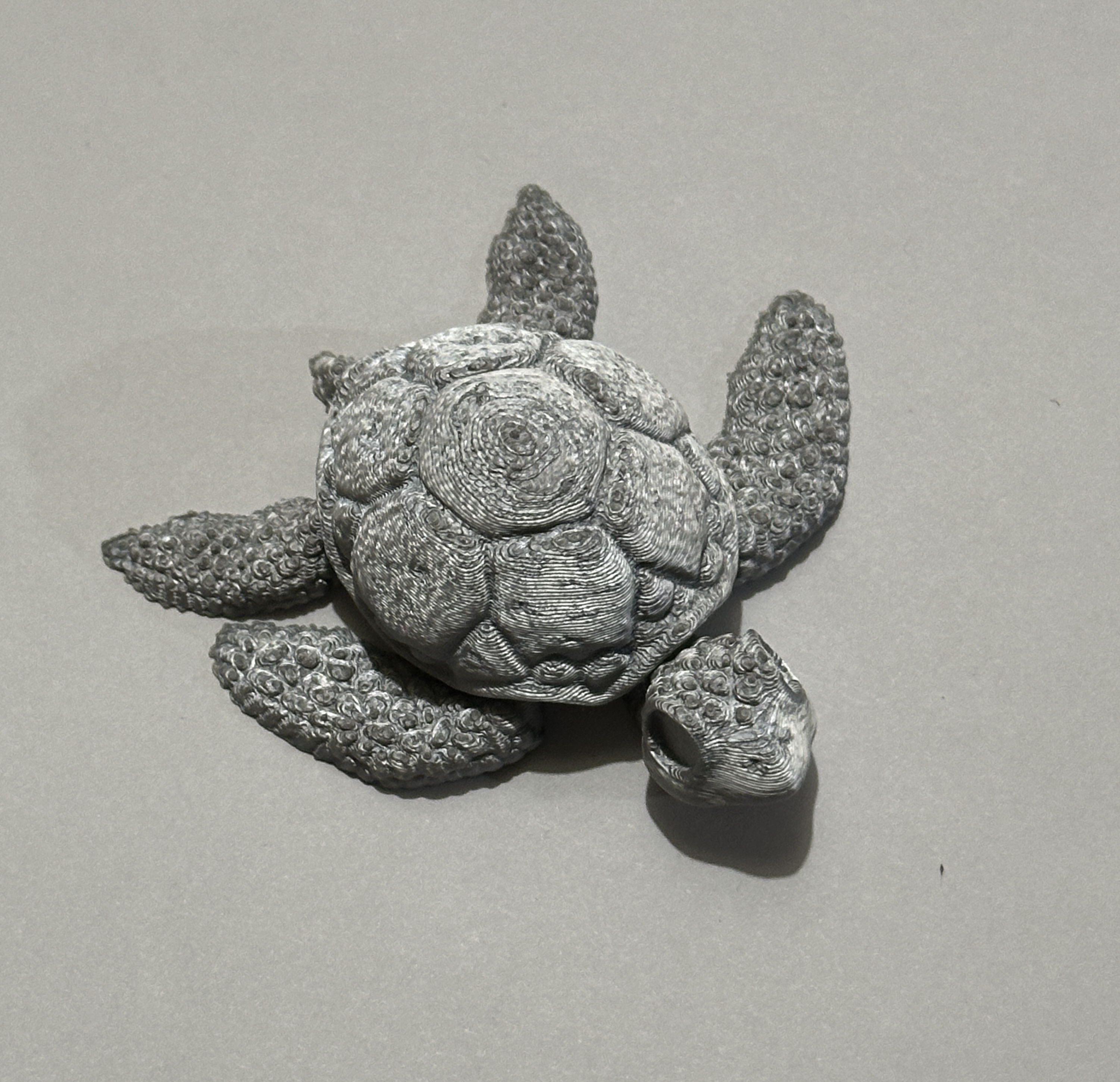 3D Printed Turtle
