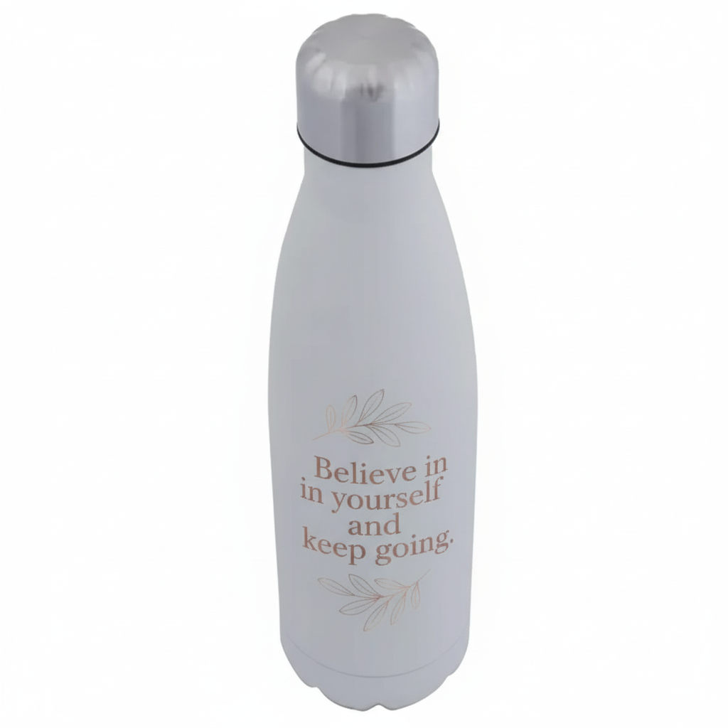 Motivational Stainless Steel Water Bottle