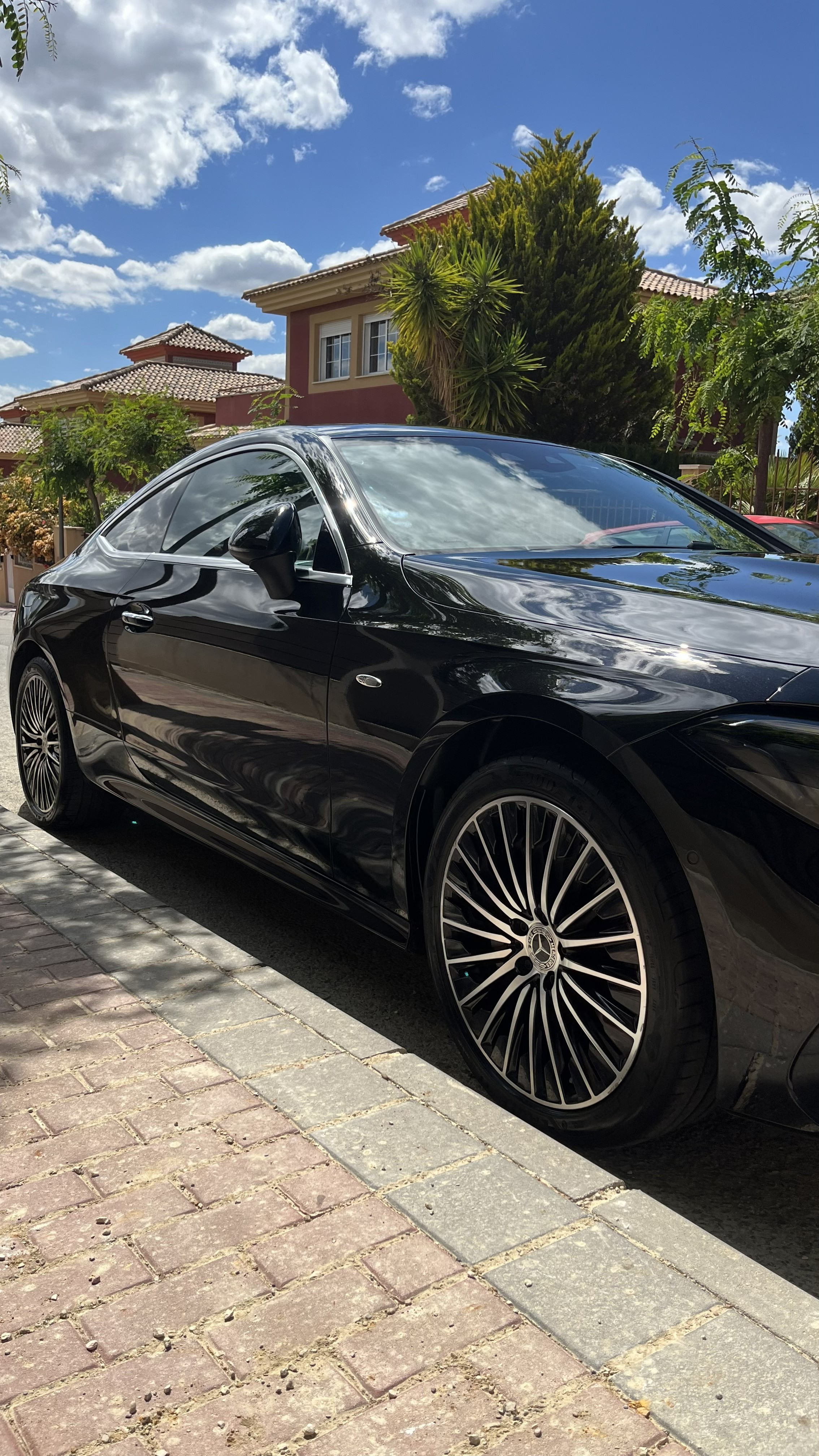 Svelte Elite