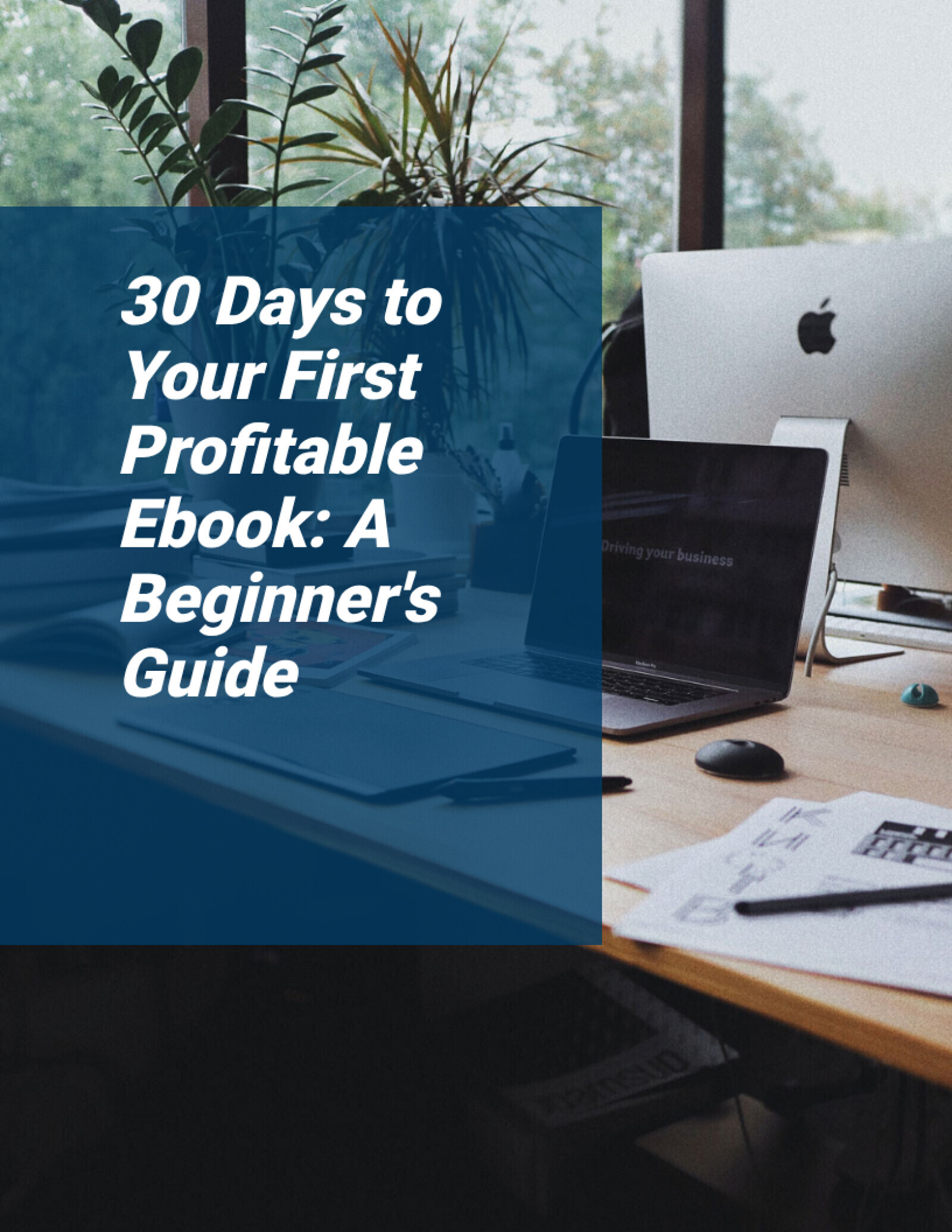 30 Days to Your First Profitable Ebook: A Beginner's Guide
