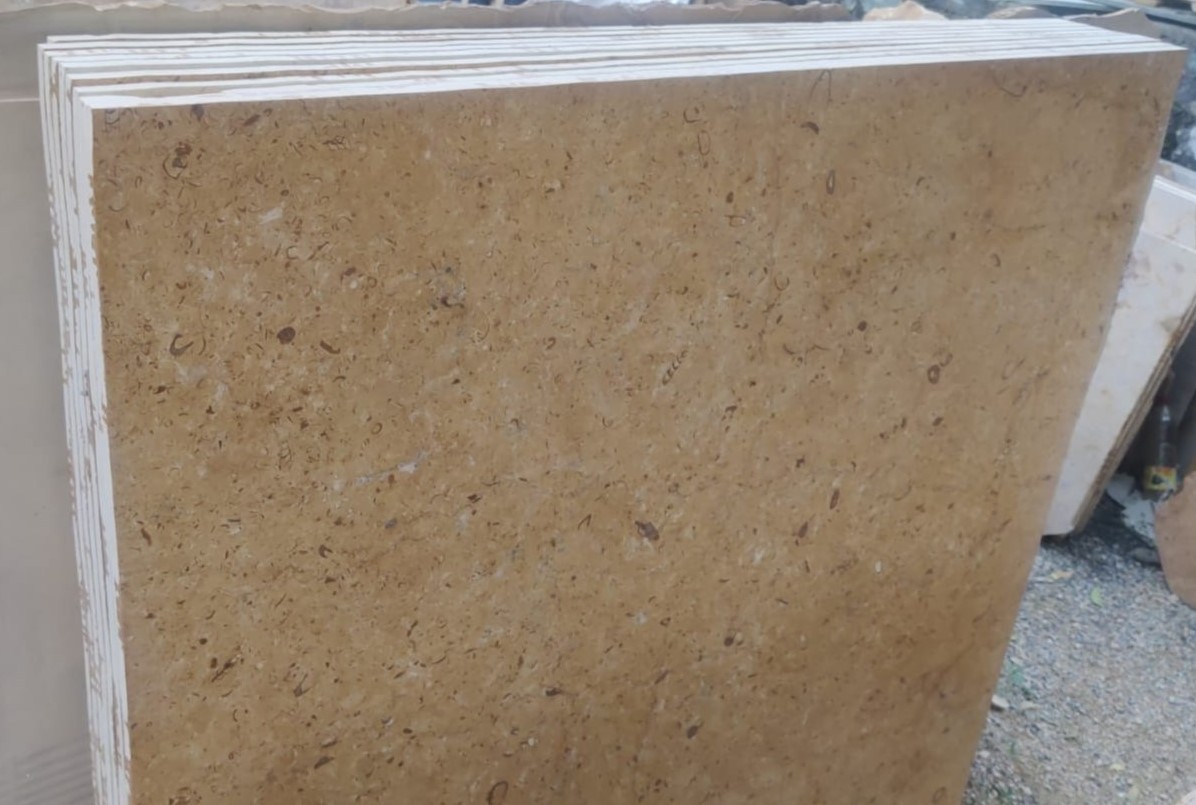 Gold Flower Sandstone