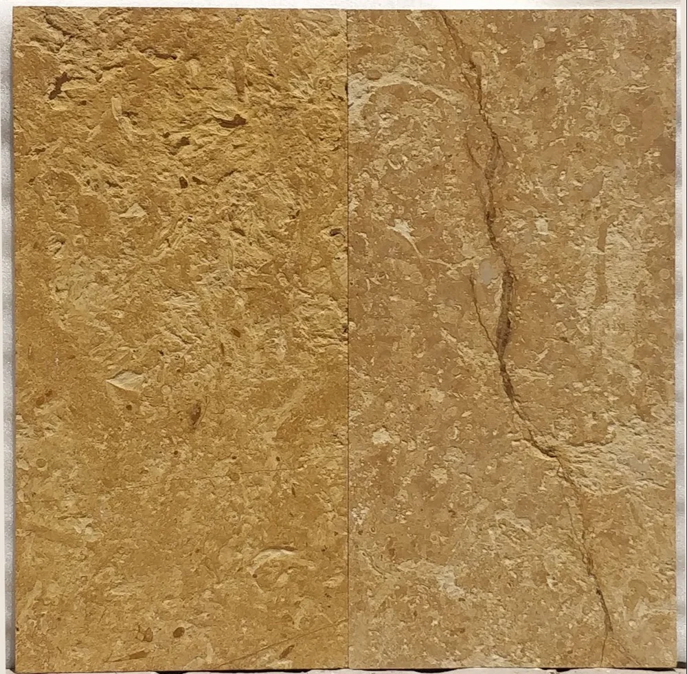 Gold Flower Sandstone