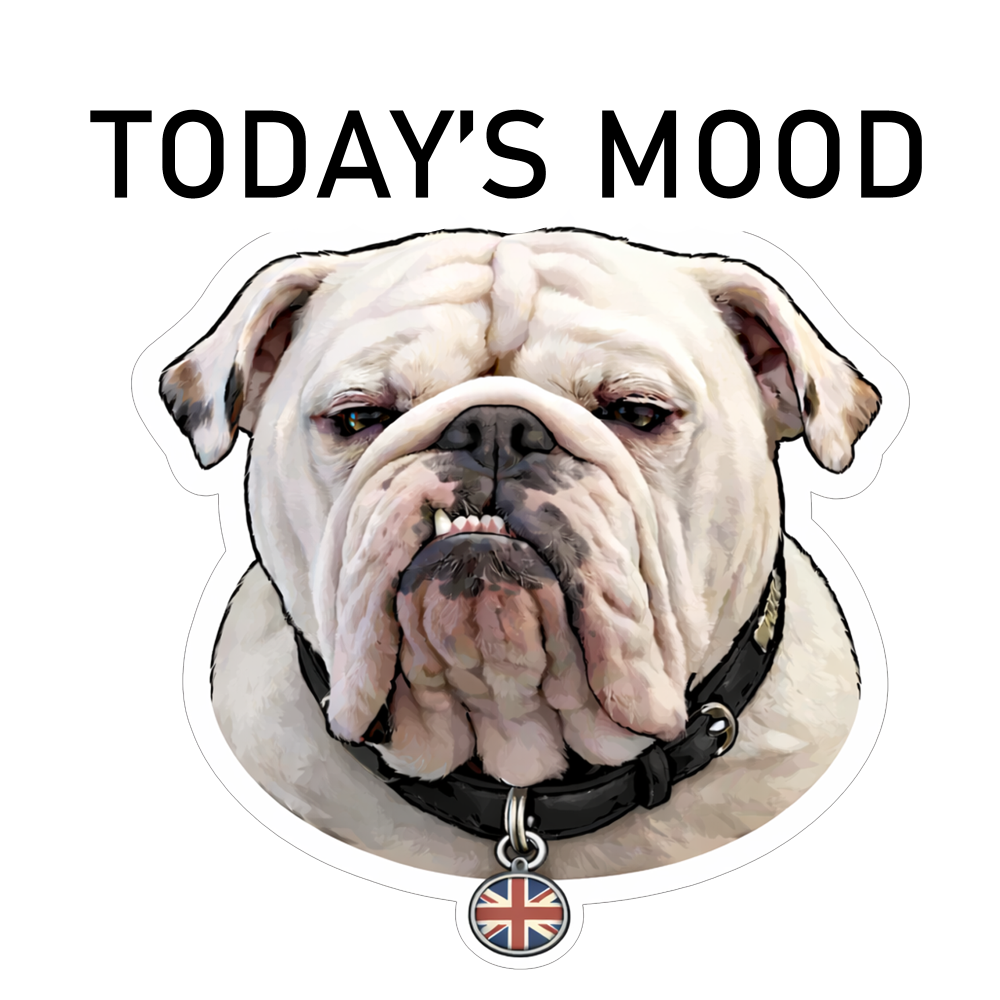 Today’s Mood Grumpy – (Sticker & Magnet)