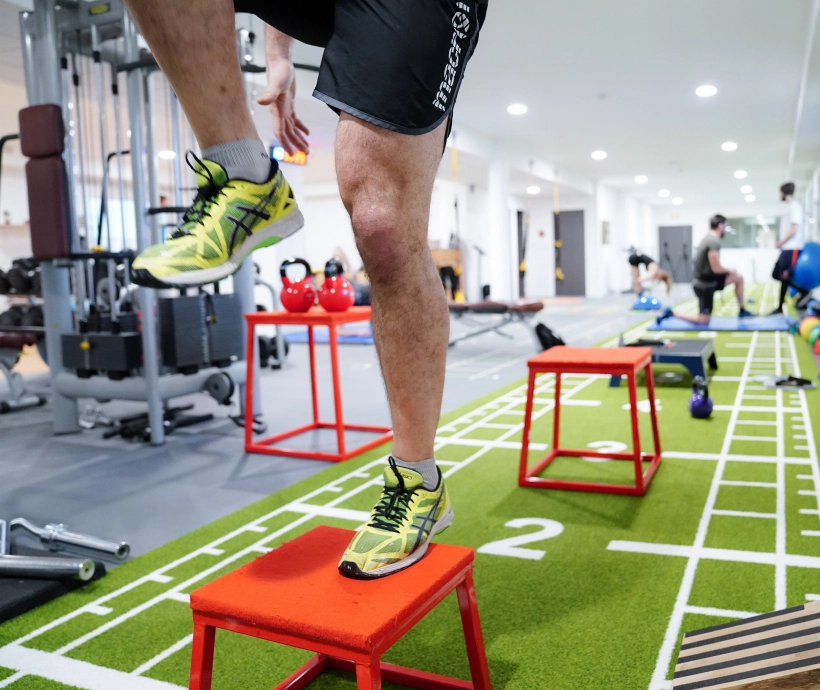 Programme Renaissance