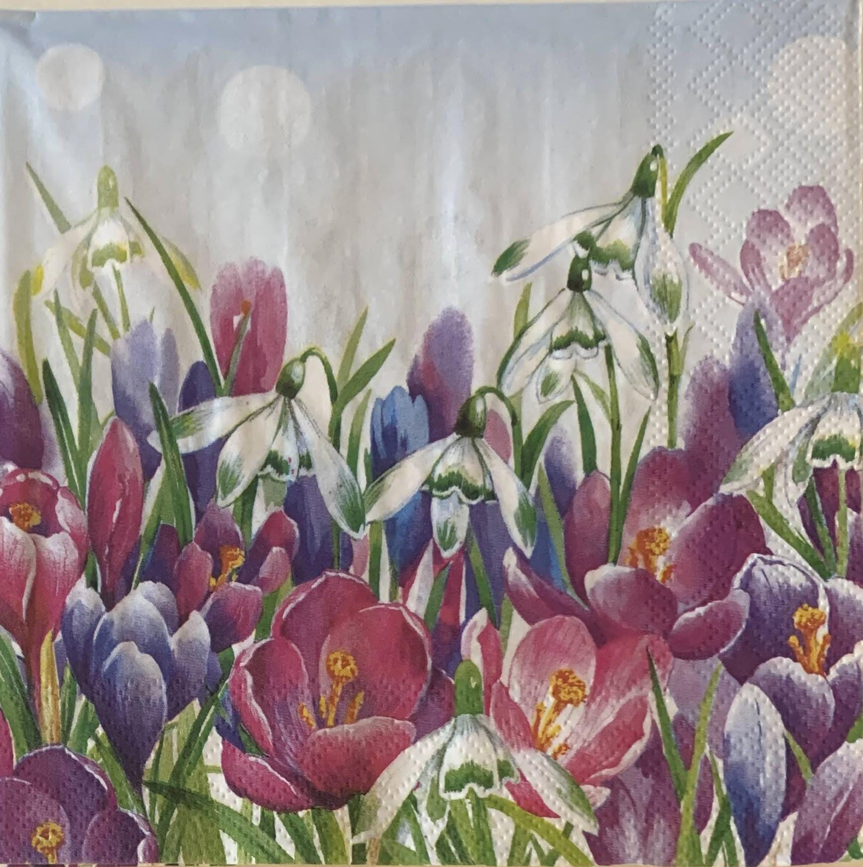 Decoupage Napkins, Crocus Floral Napkins, Set of 2 Lunch Size, #0327