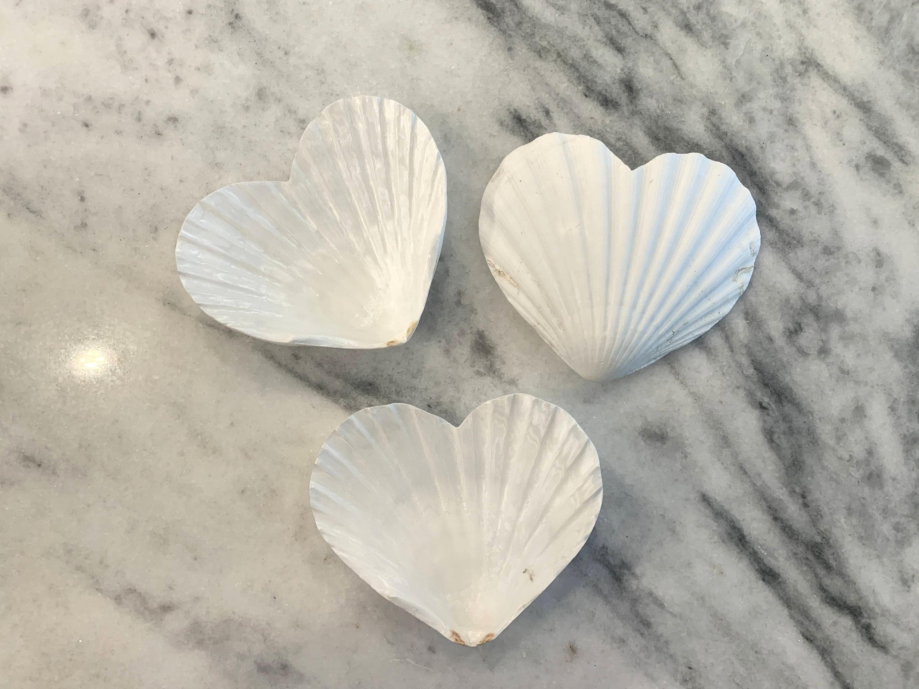 Heart Shape Scallop Shell, Set of 4/8, White 4 to 4.5 inch