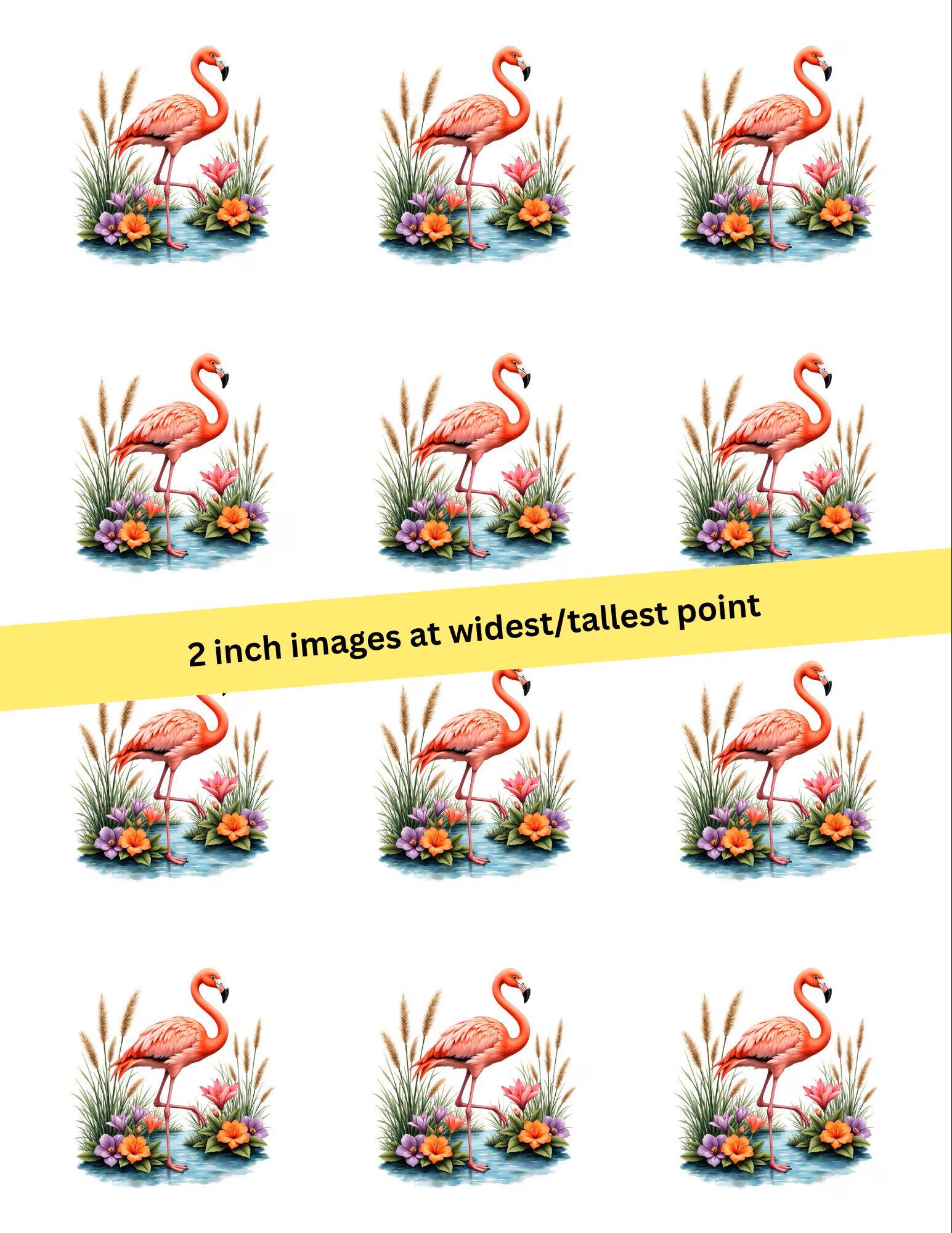 Pink Flamingo Rice Paper FREE SHIPPING, 2" or 2.5" images, Flamingo4