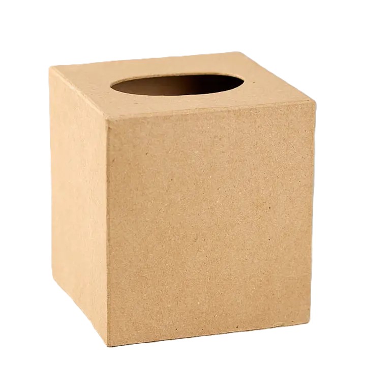 Blank Paper Mache Tissue Box Cover
