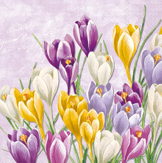 Decoupage Napkins, Crocus Napkins, Set of 2  Cocktail Size, #0376
