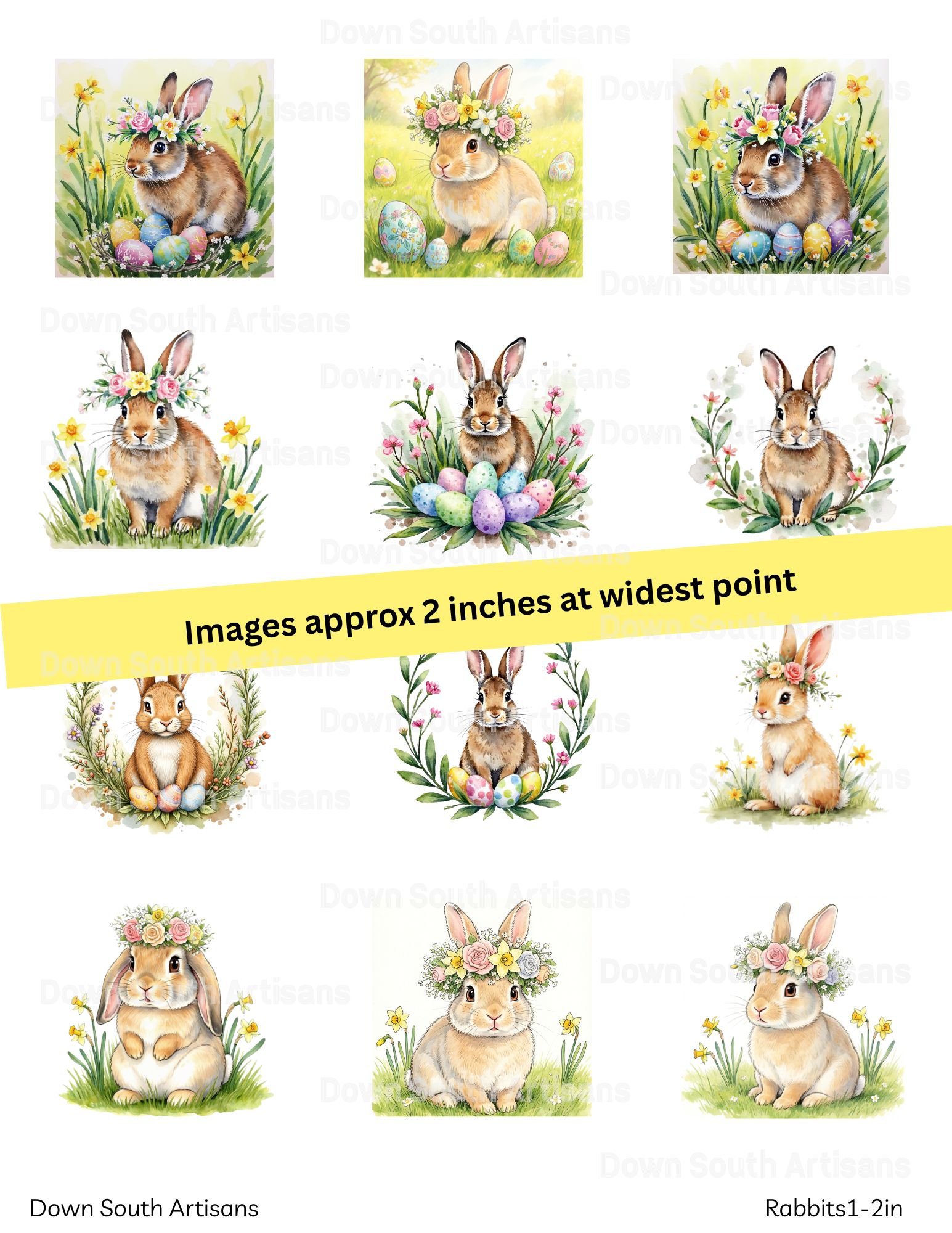 Shell & Paper Bundle