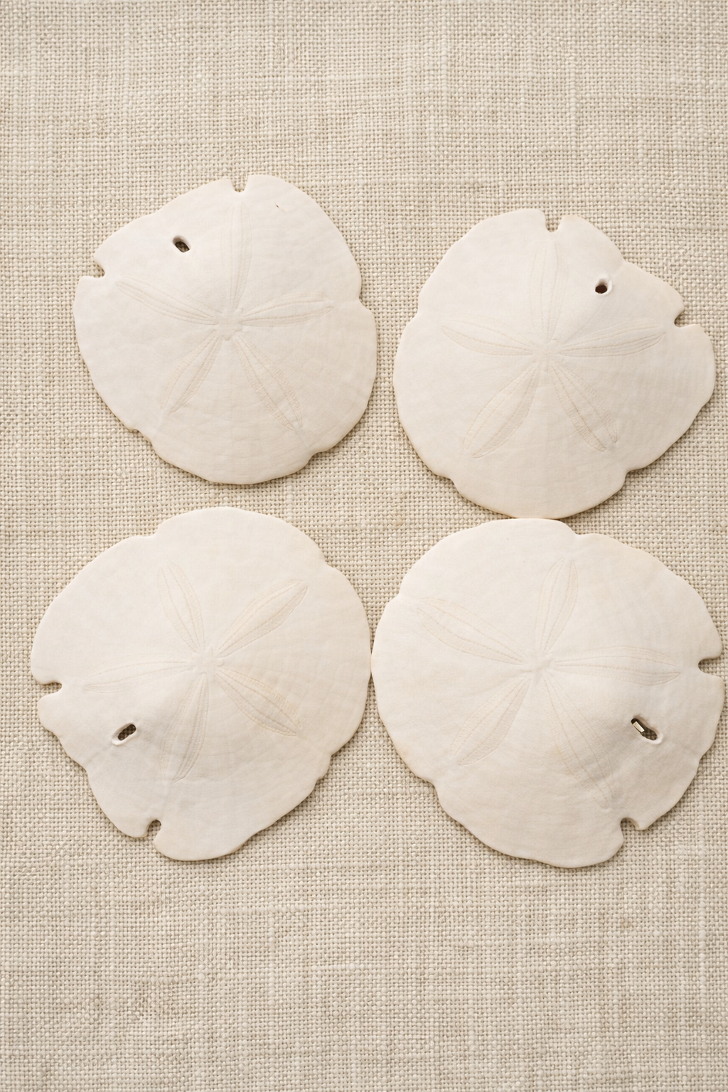 Arrowhead Sand Dollar Shells 5 to 5.5”