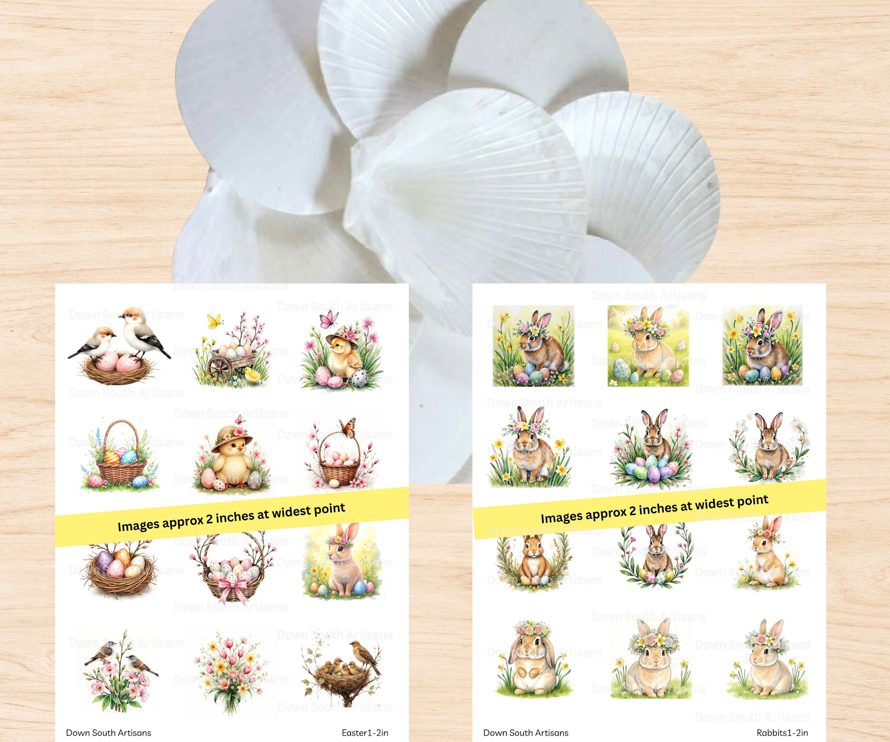 Shell & Paper Bundle