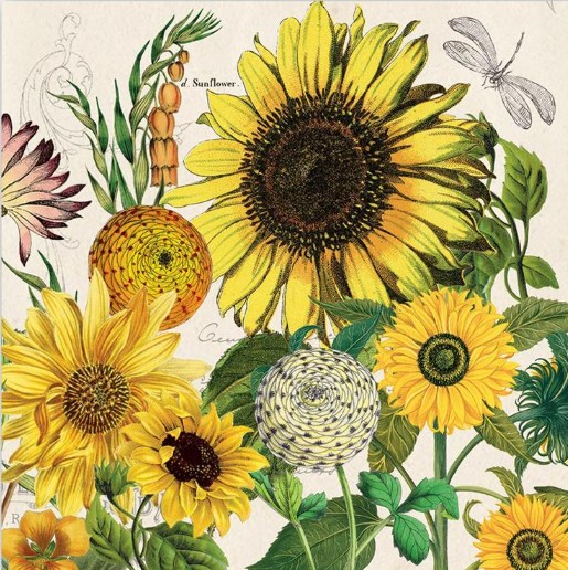 Decoupage Napkins, Sunflower napkins, Set of 2 Cocktail Size, #368