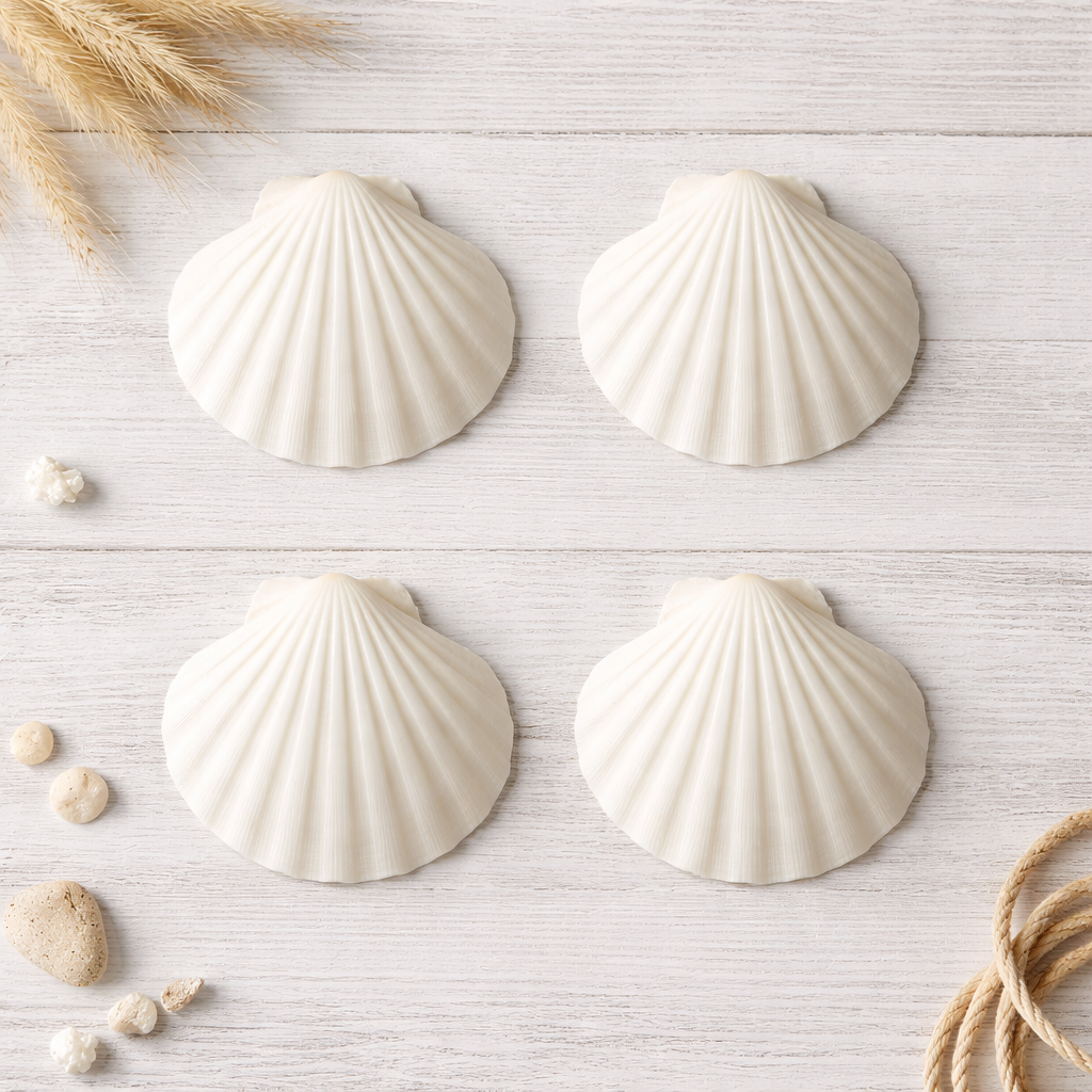 Irish Baking Scallops 3 to 4 inches