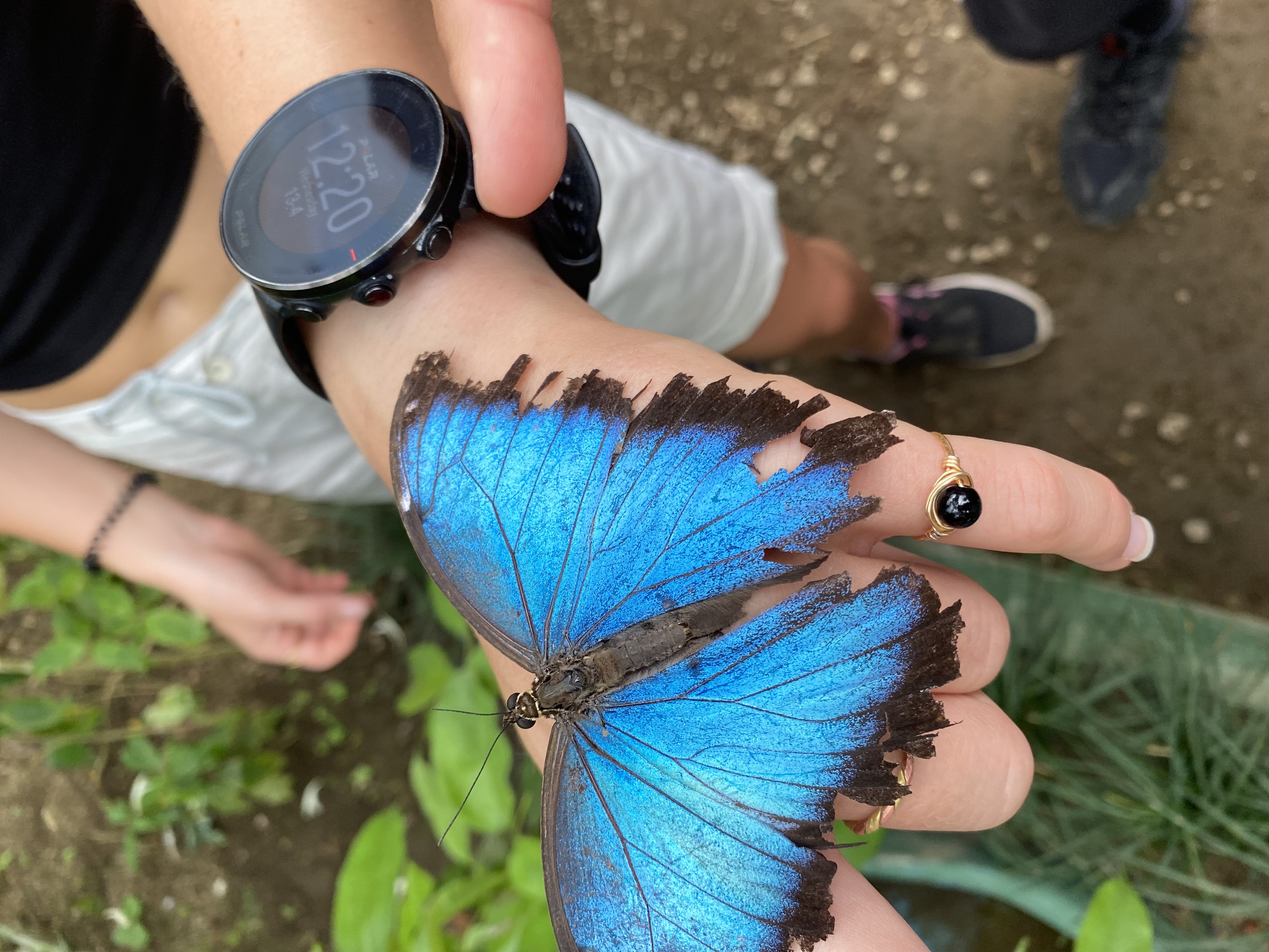 Usui & Shamanic Reiki Sessions