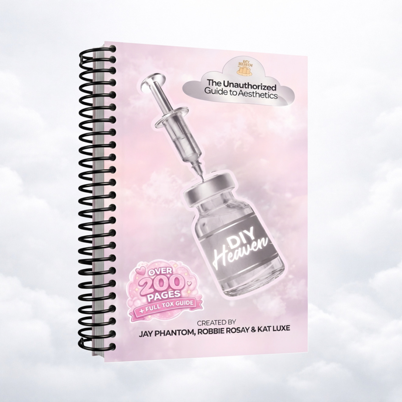 DIY Heaven: The Unauthorized Guide to Aesthetics (Spiral Bound Edition)