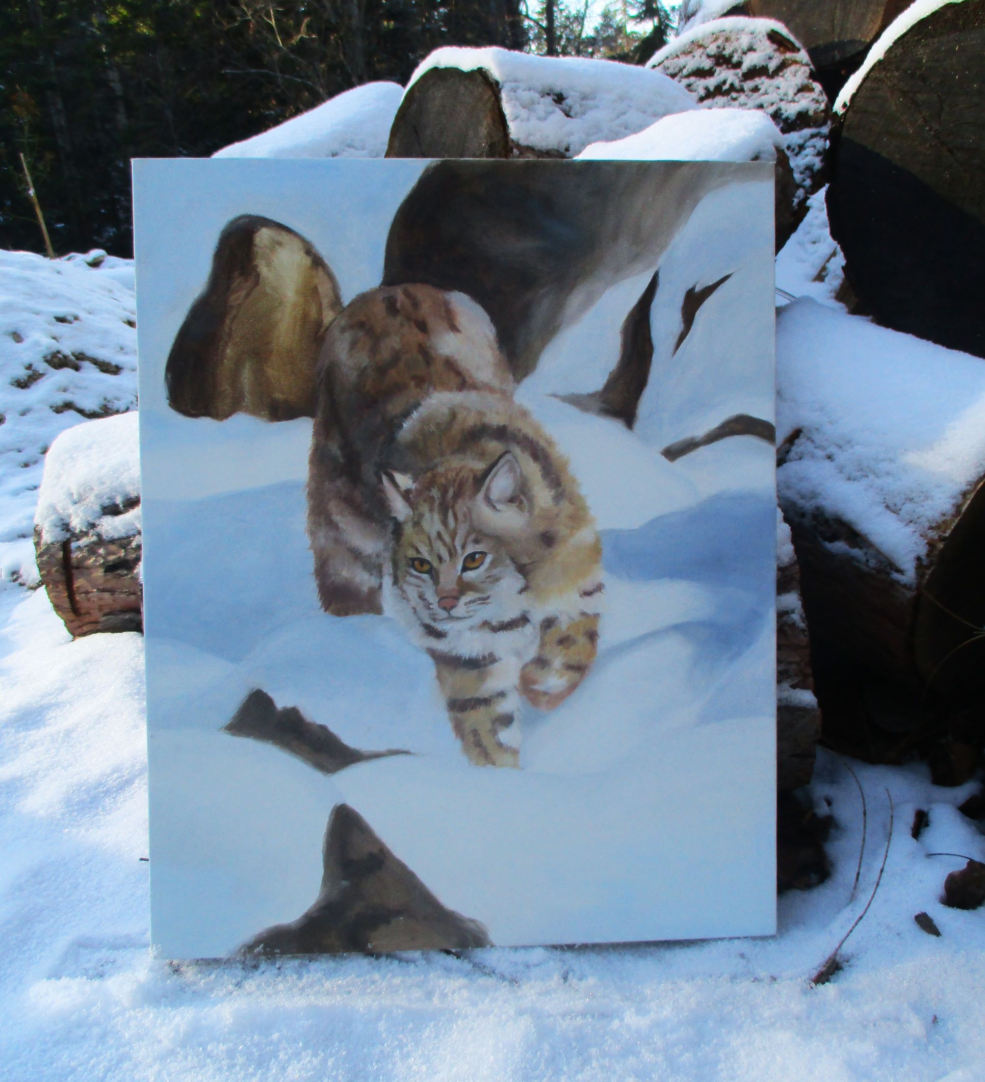 Snowy Bobcat Oil Painting