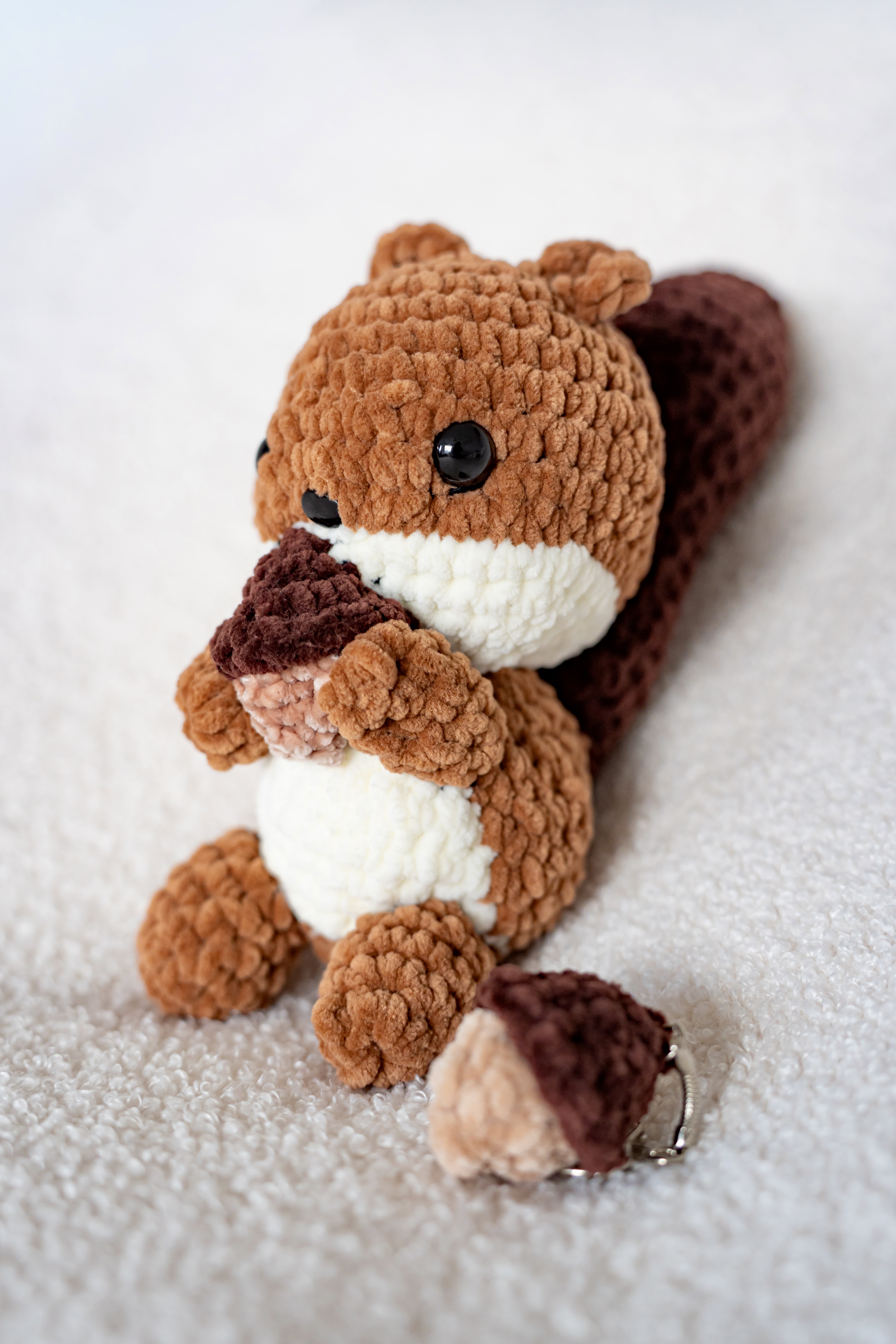 Ecureuil et son gland