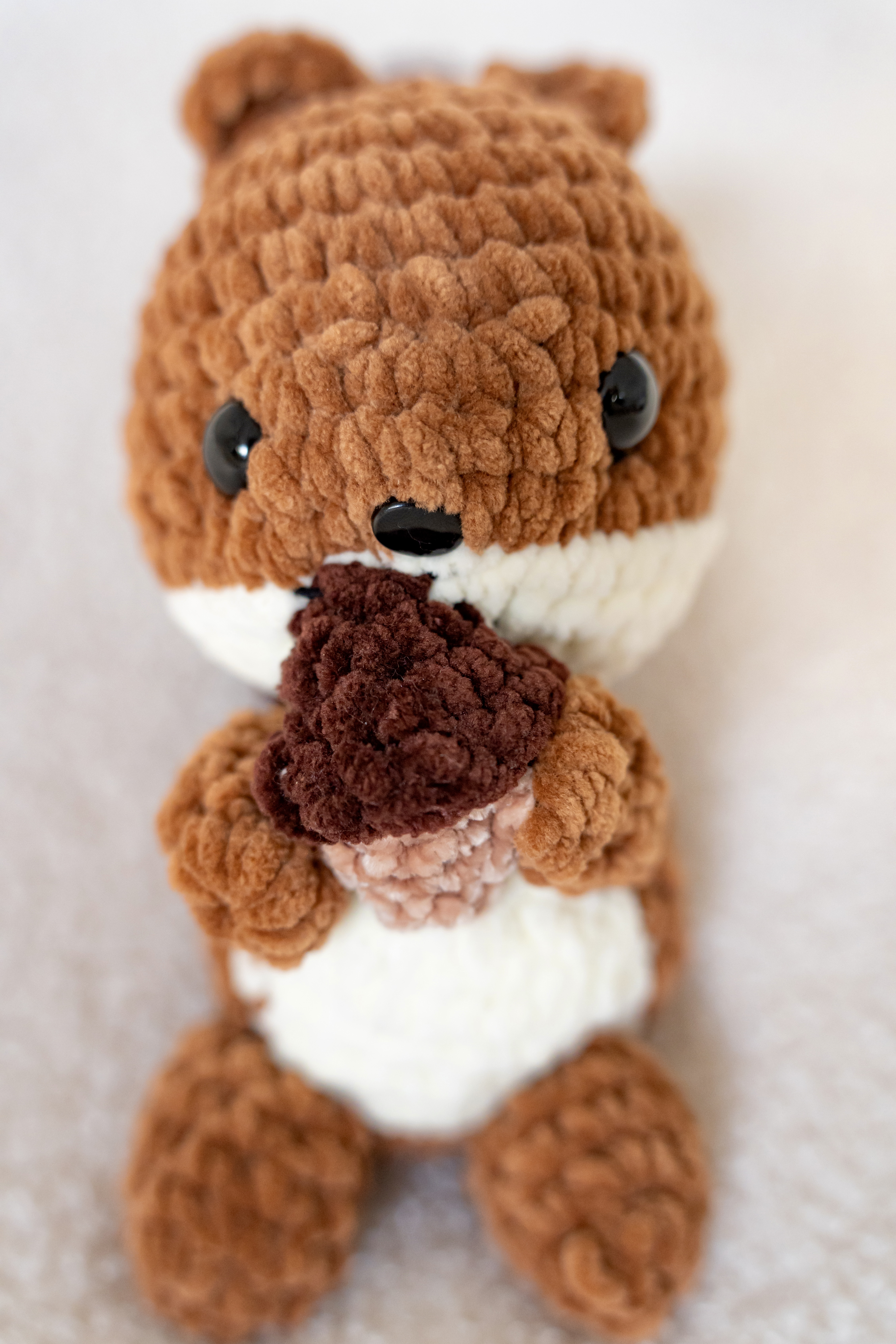 Ecureuil et son gland 