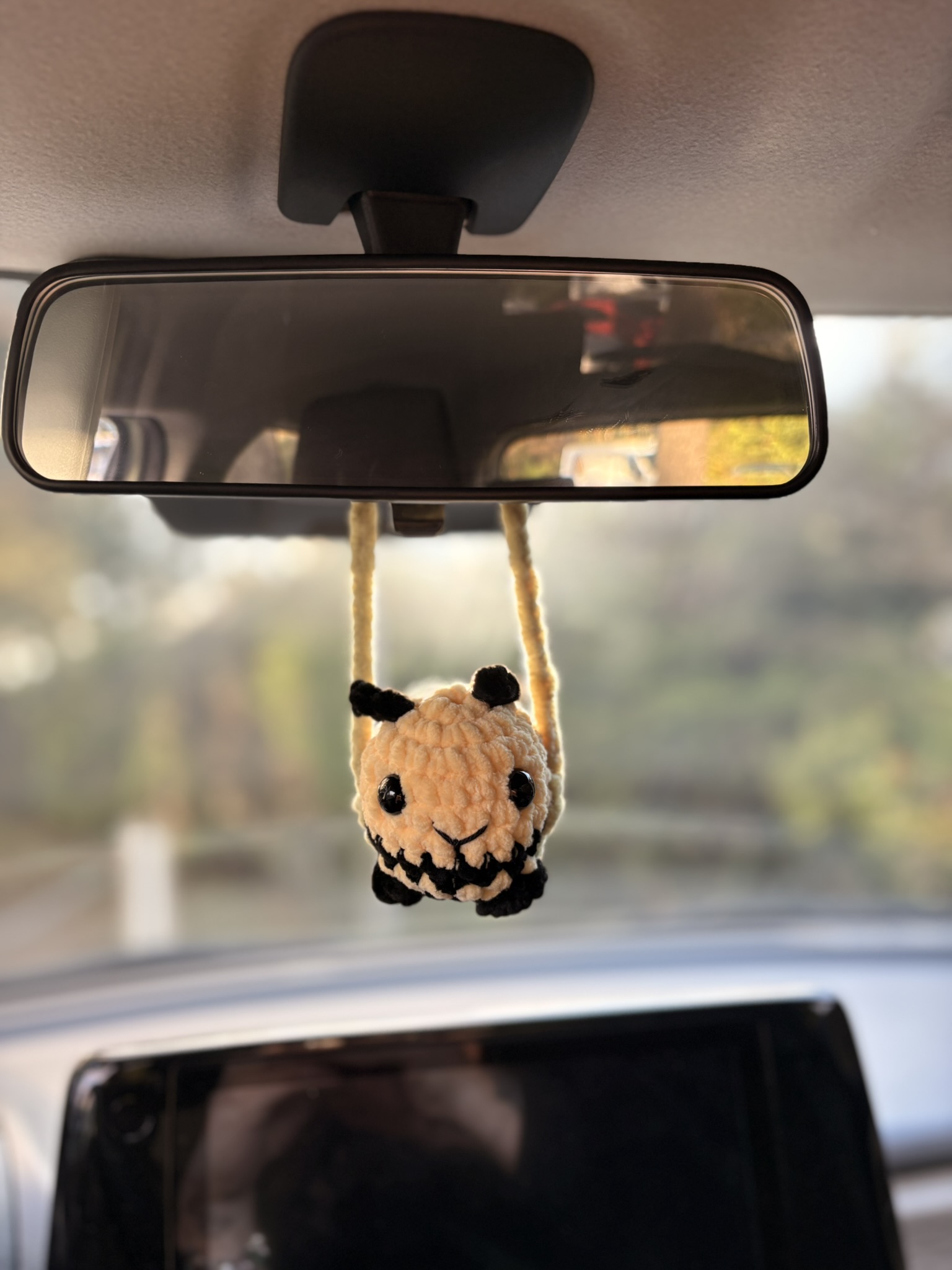 Balançoire au rétroviseur