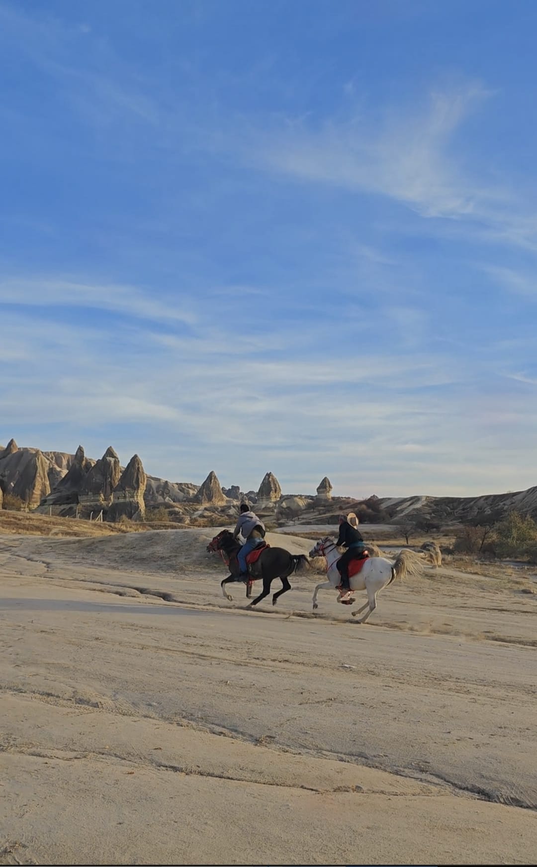 HUSTLE AND BUSTLE TOURS