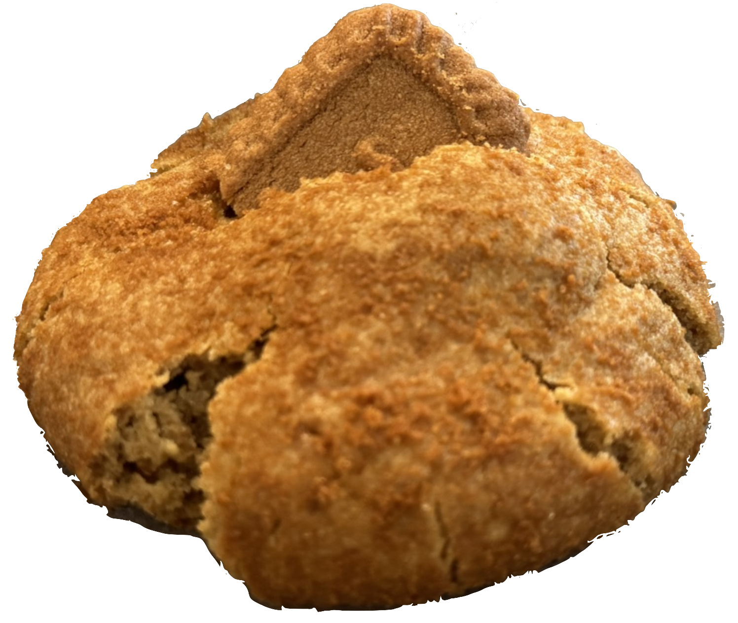 LOTUS - Biscoff 80 grs