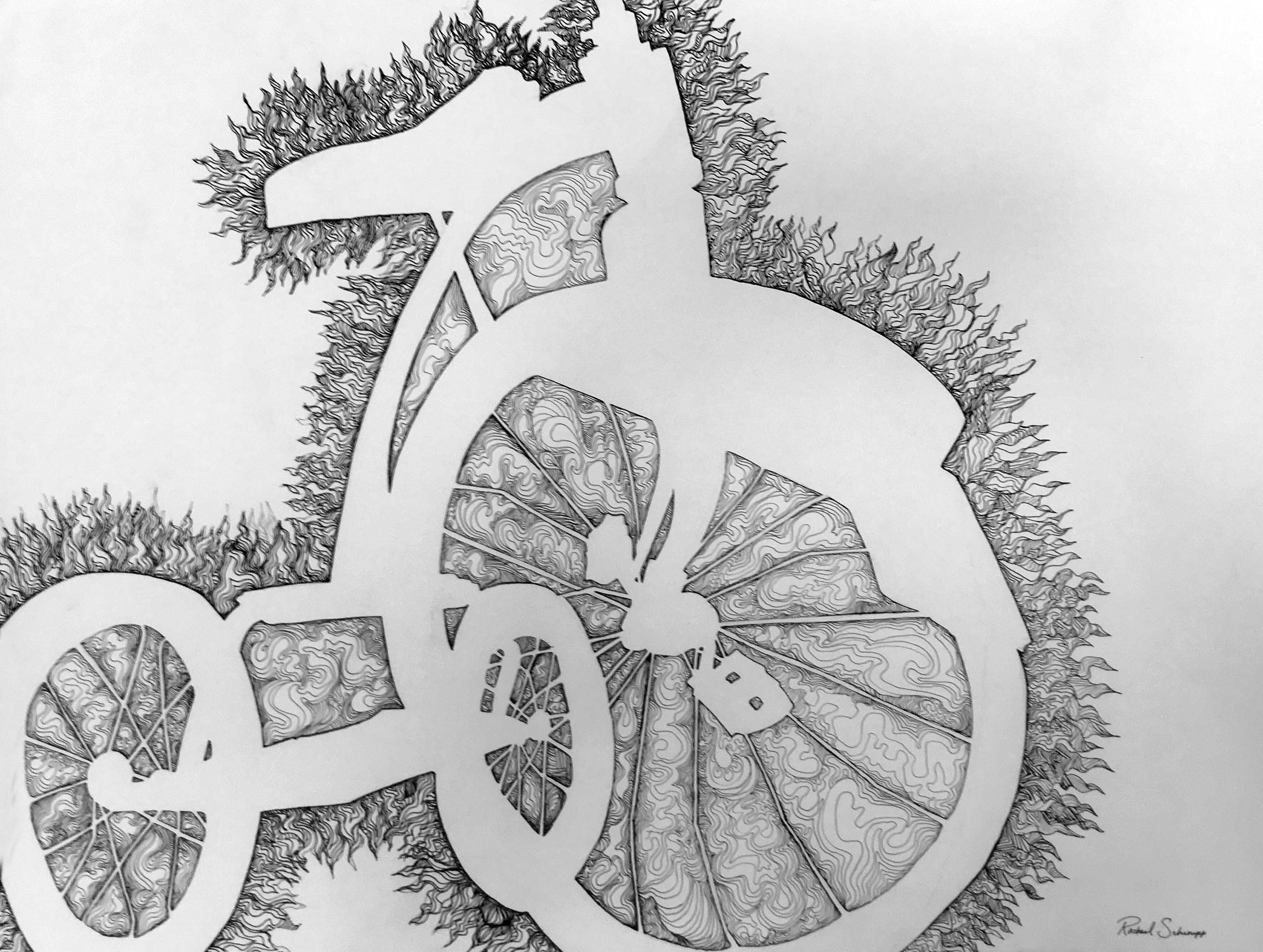 Negative Space Tricycle 