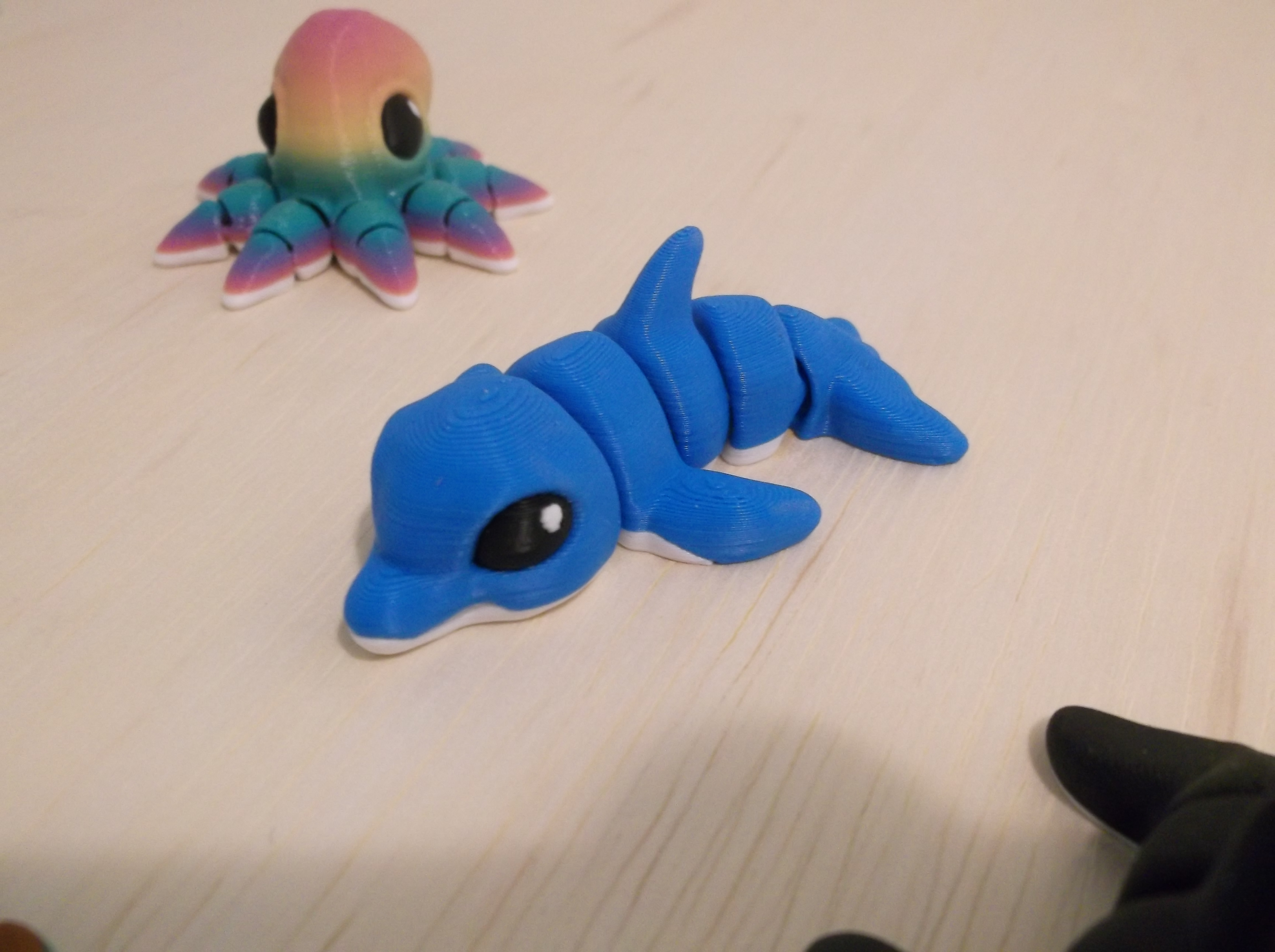 Baby Animals - Dolphin