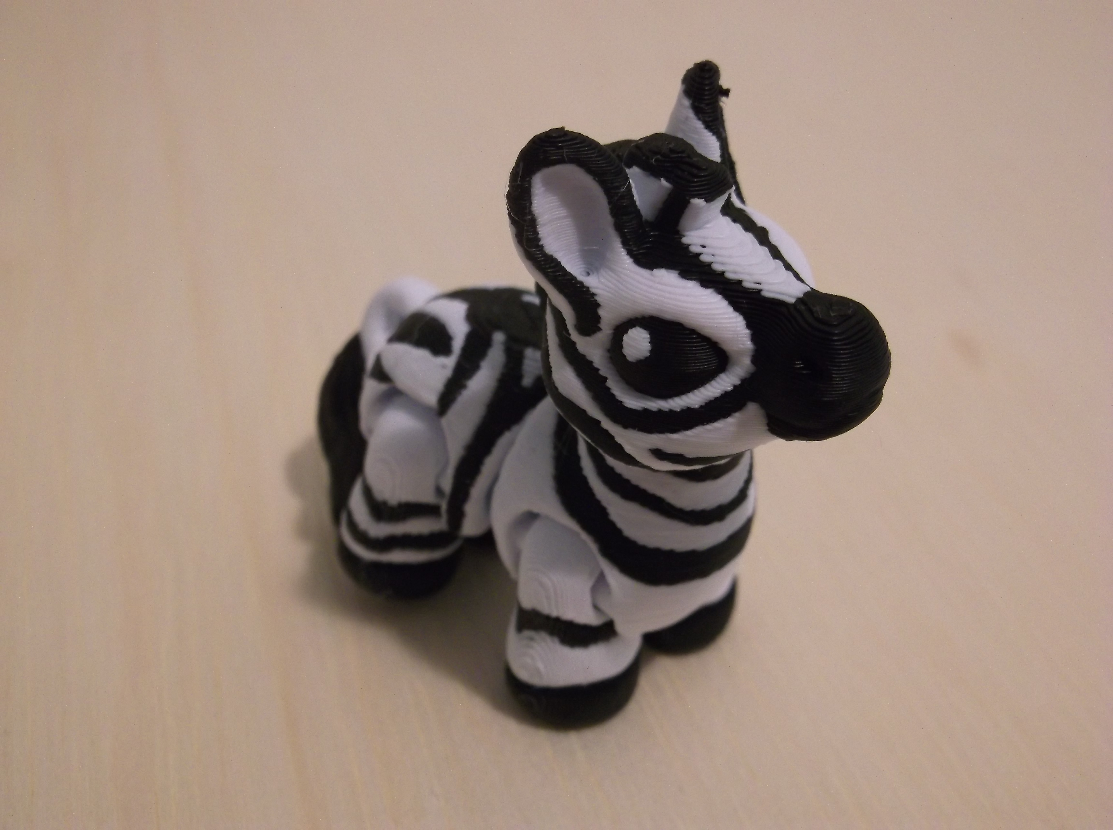 Baby Animals - Zebra