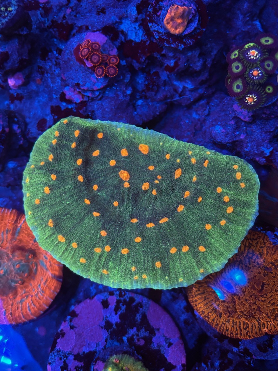 Space Invader Chalice 