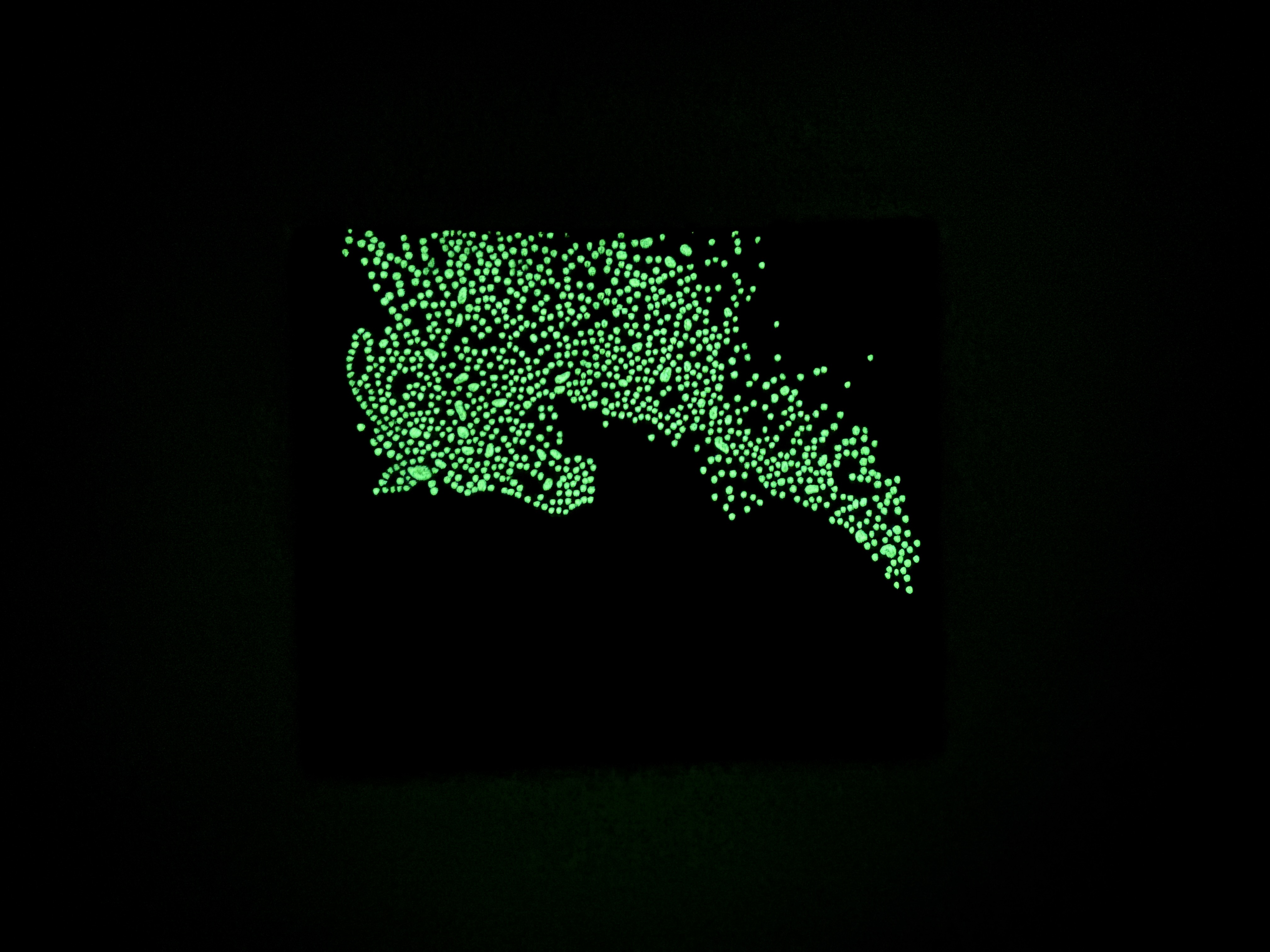 Tableau Cheval Phosphorescent