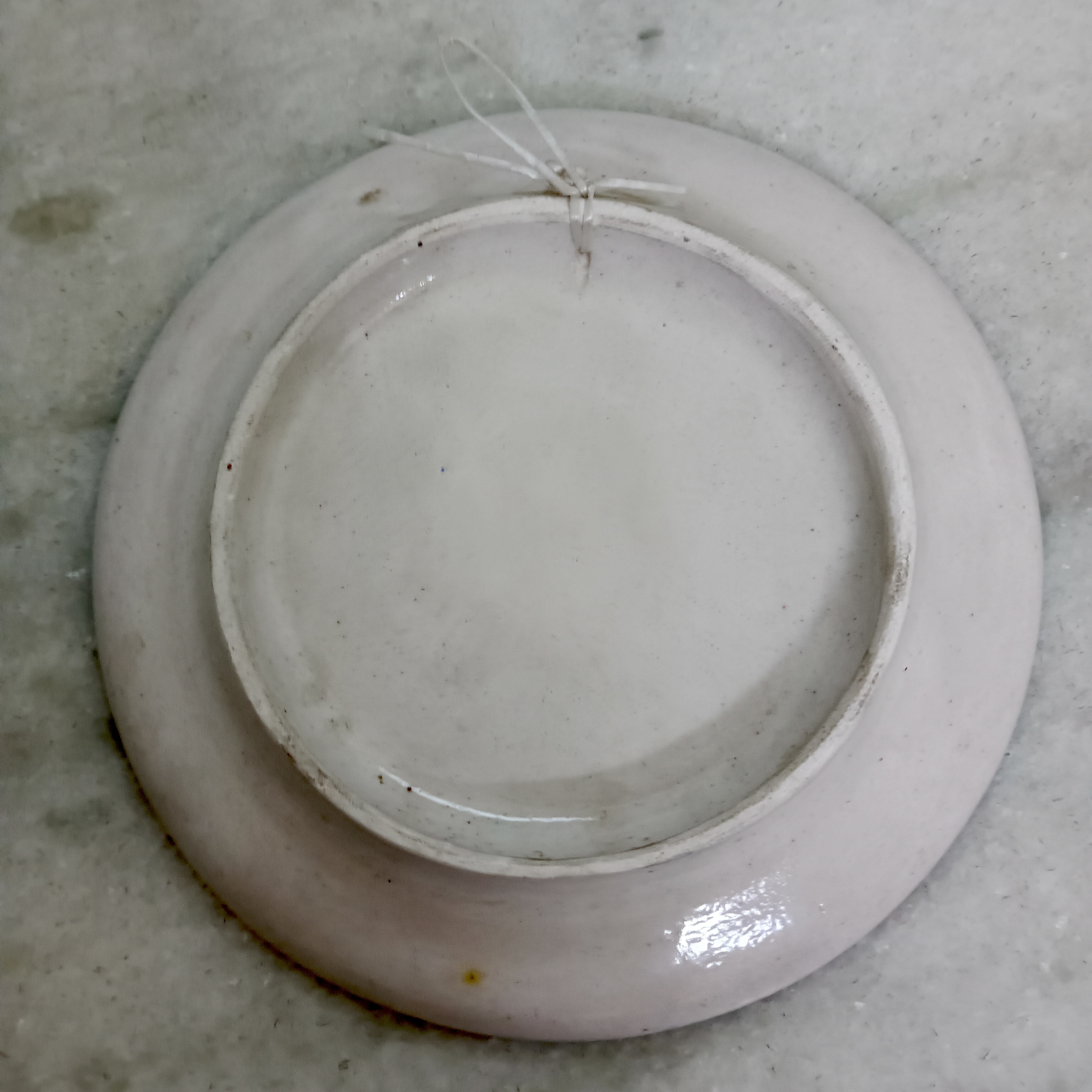 Blue Floral Ceramic Plate